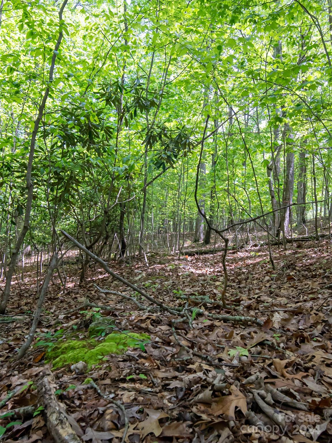 185 Crossvine Trail Hendersonville NC 28739