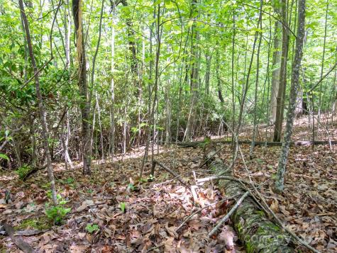 185 Crossvine Trail Hendersonville NC 28739