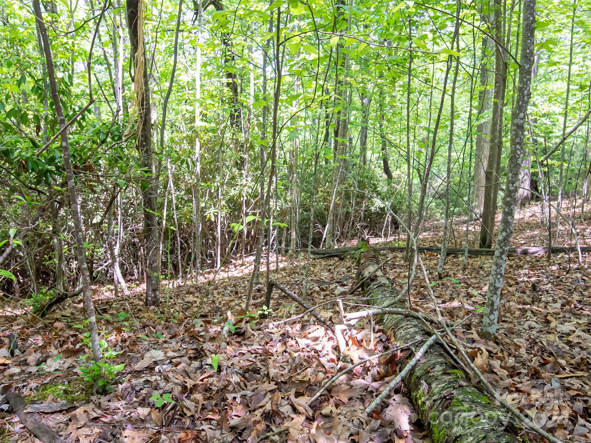 185 Crossvine Trail Hendersonville NC 28739
