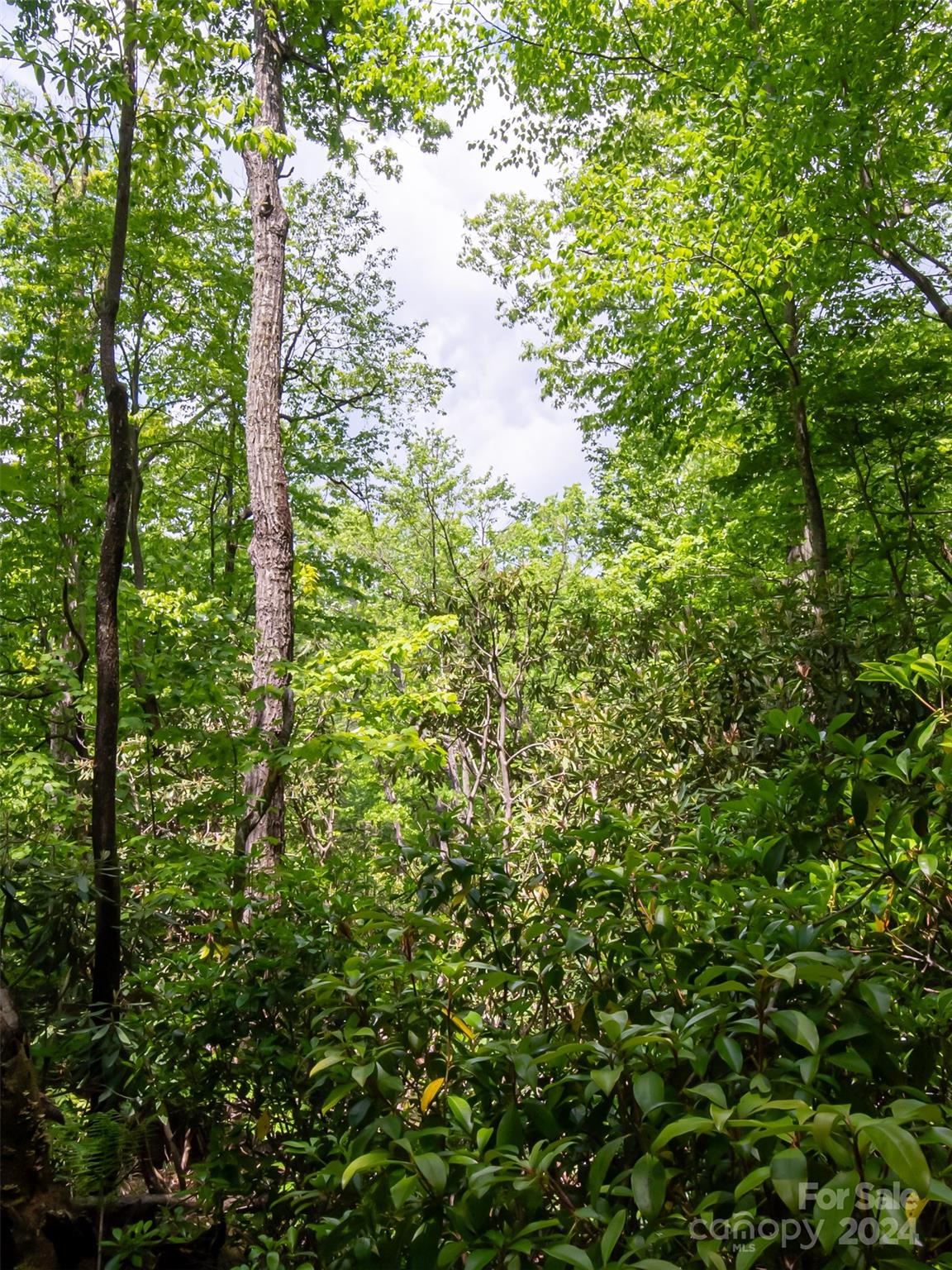185 Crossvine Trail Hendersonville NC 28739