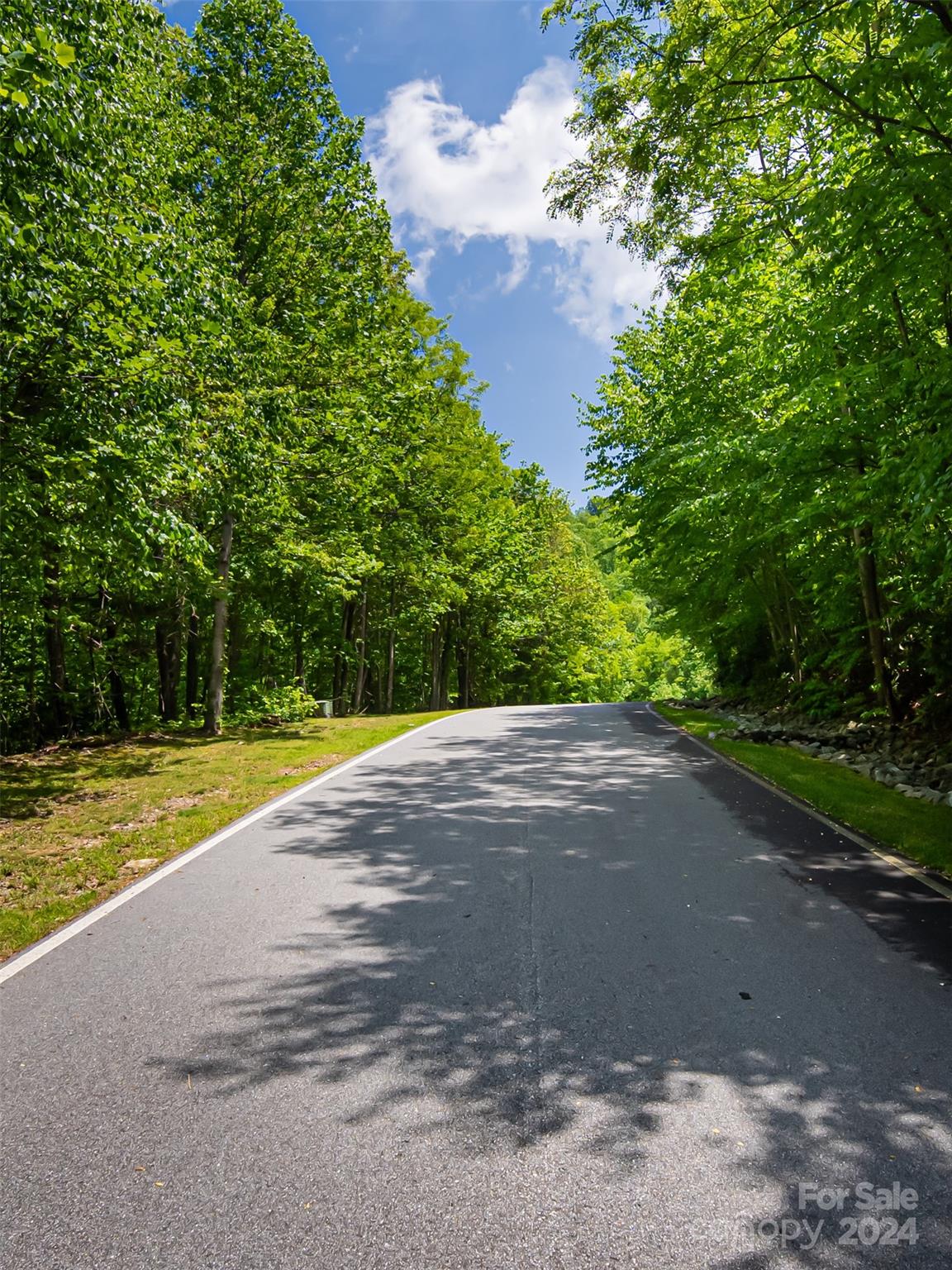 185 Crossvine Trail Hendersonville NC 28739