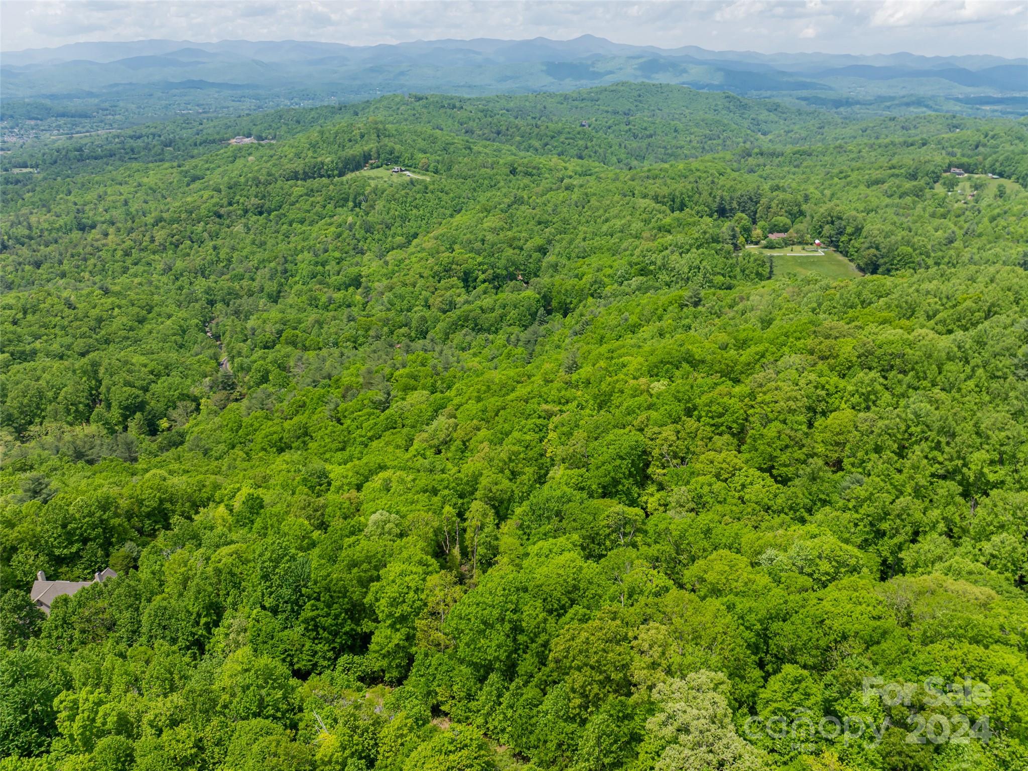 185 Crossvine Trail Hendersonville NC 28739