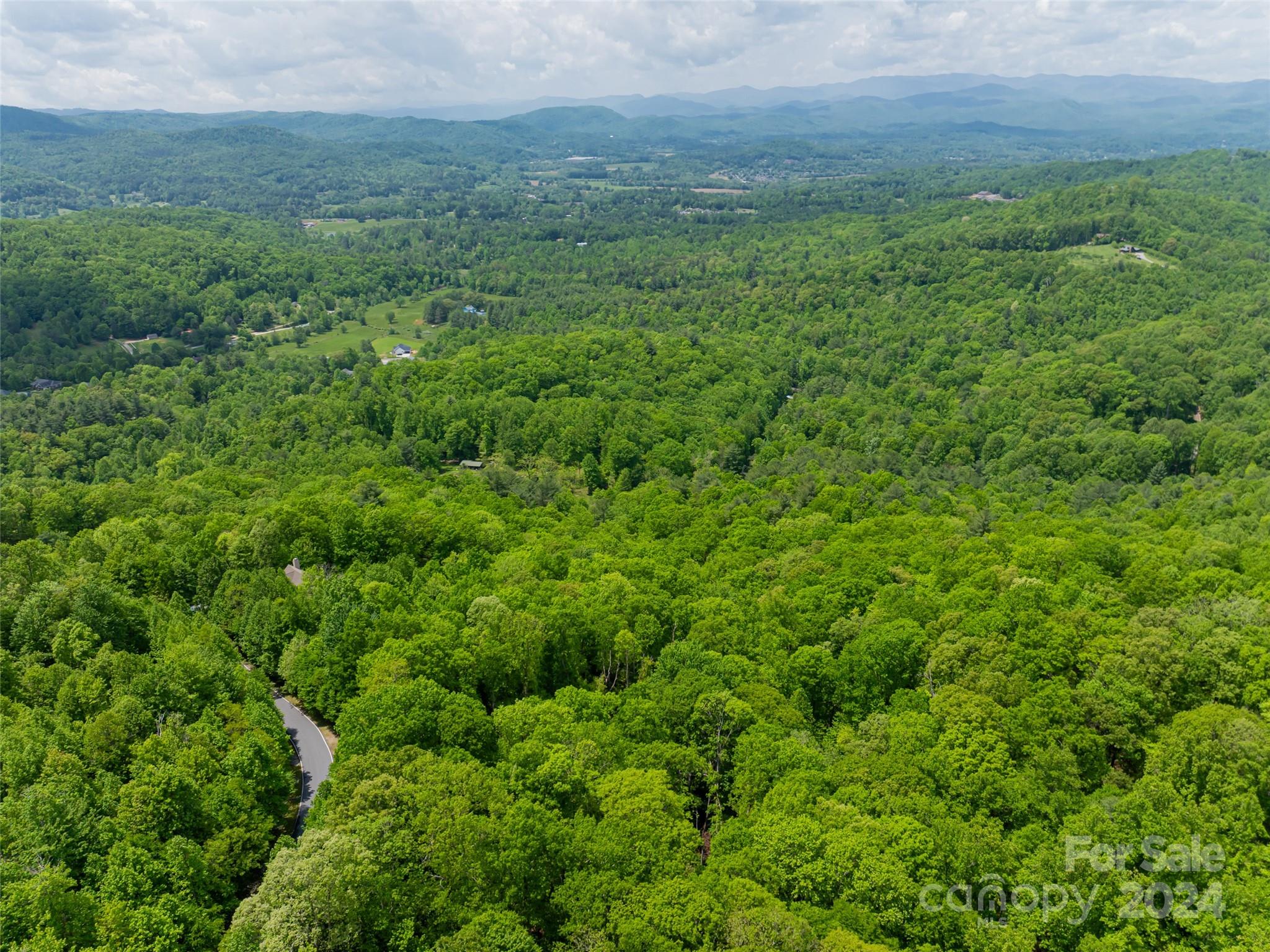 185 Crossvine Trail Hendersonville NC 28739
