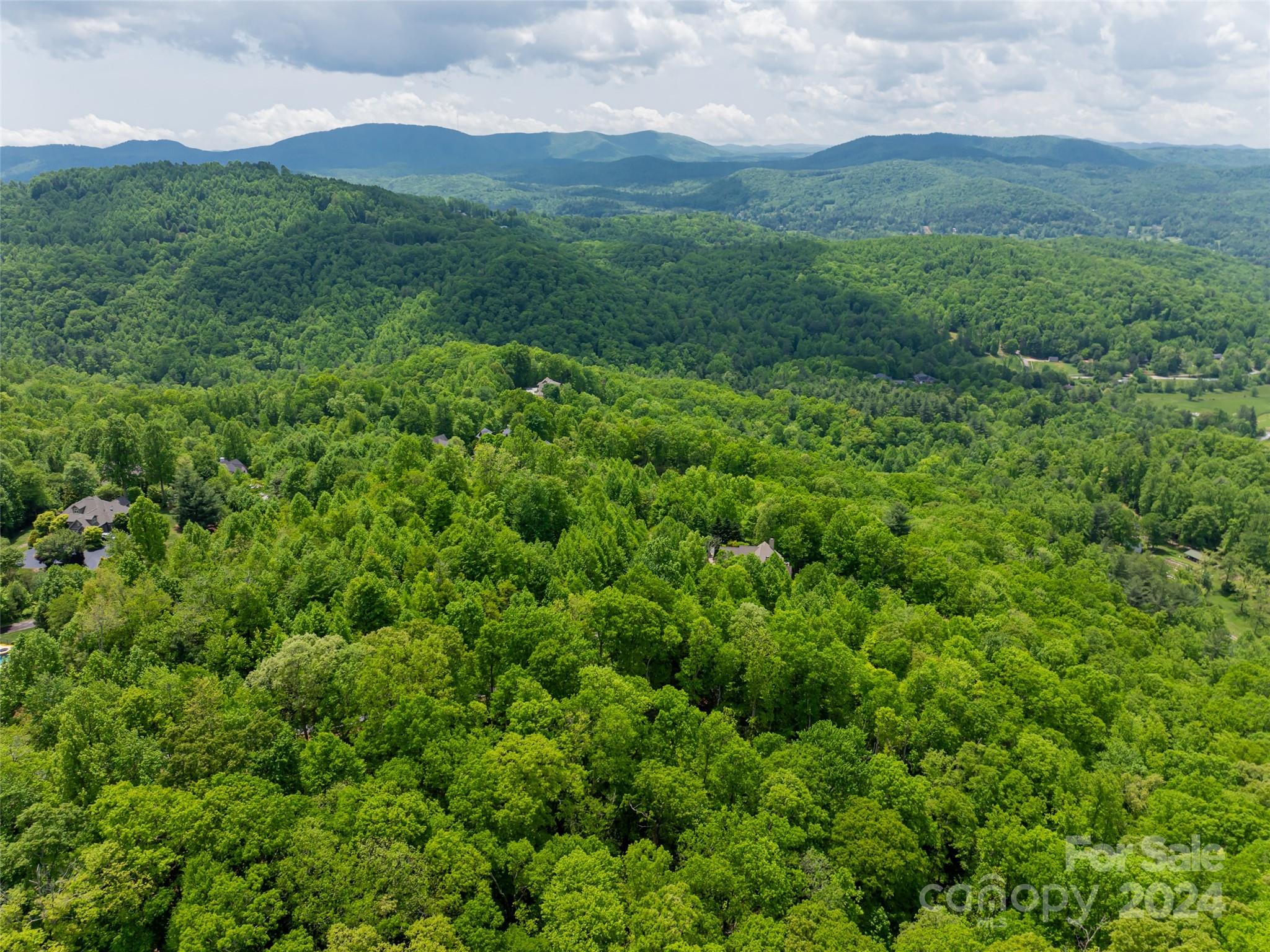 185 Crossvine Trail Hendersonville NC 28739