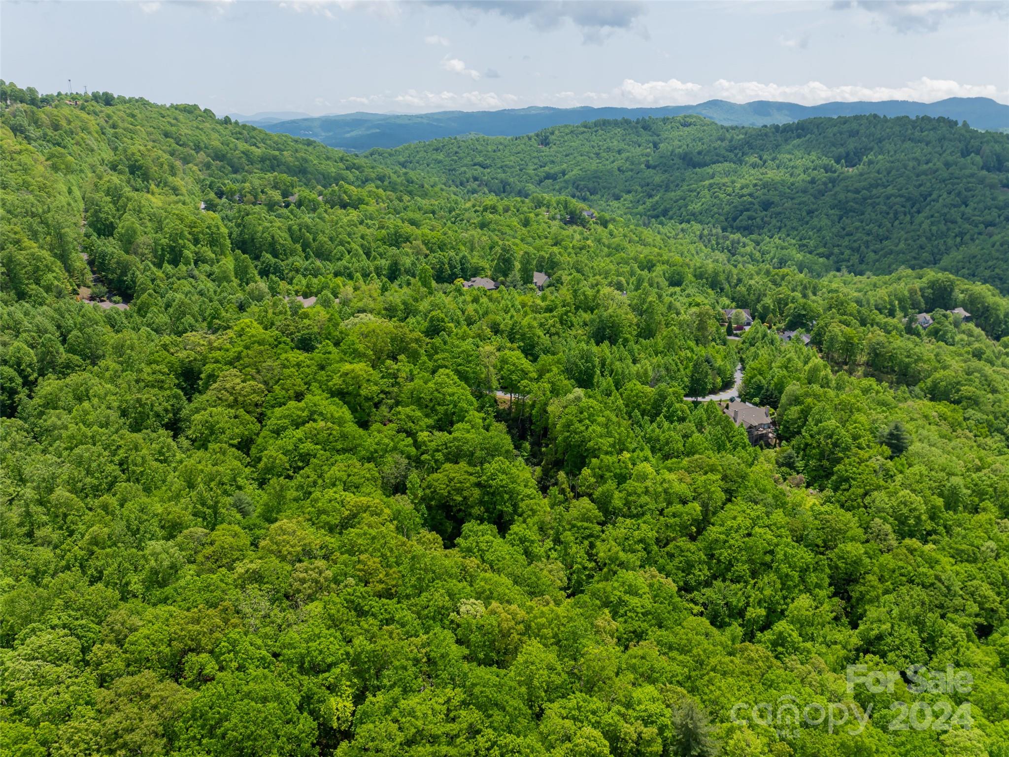 185 Crossvine Trail Hendersonville NC 28739