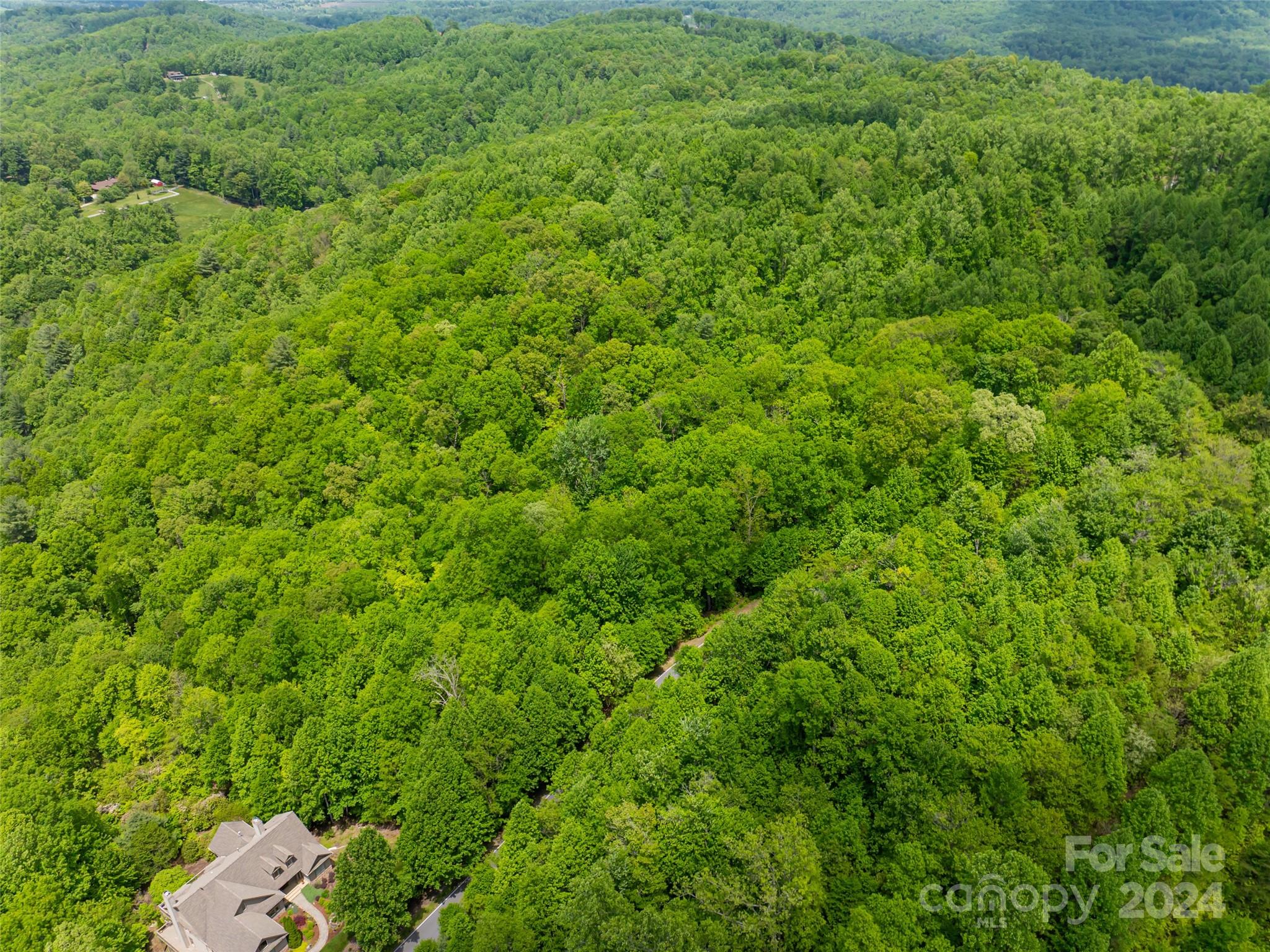 185 Crossvine Trail Hendersonville NC 28739