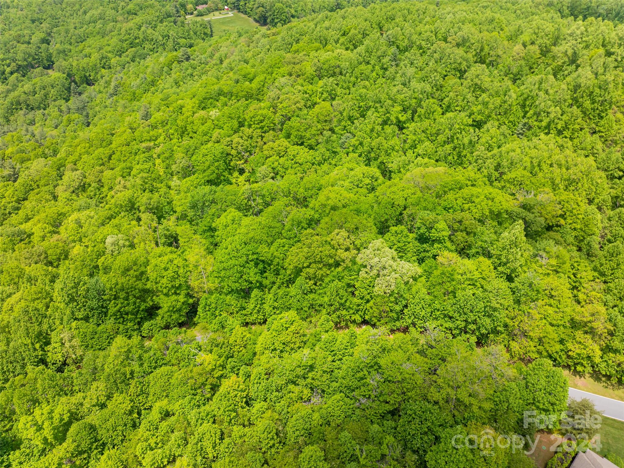 185 Crossvine Trail Hendersonville NC 28739