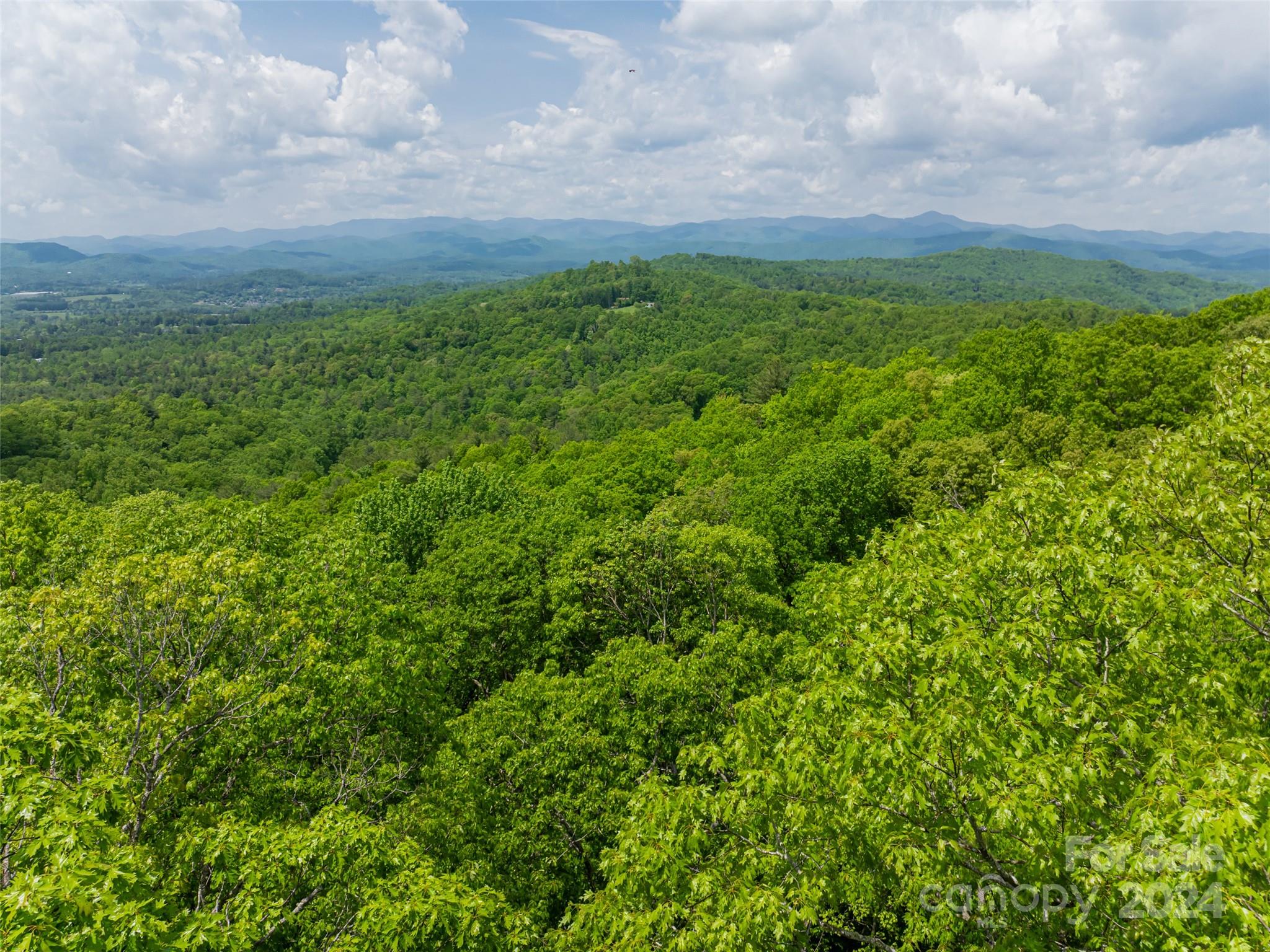 185 Crossvine Trail Hendersonville NC 28739