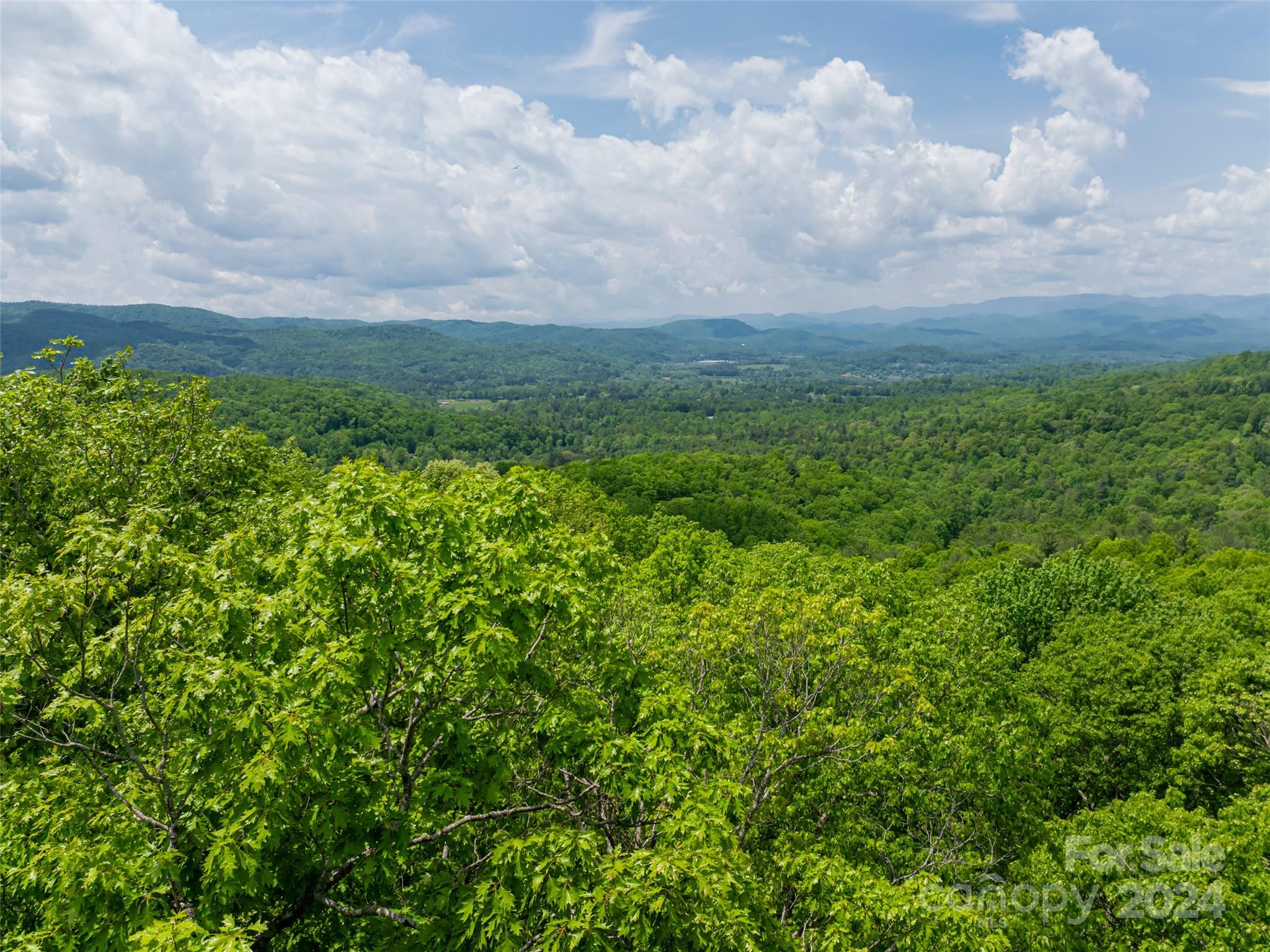 185 Crossvine Trail Hendersonville NC 28739