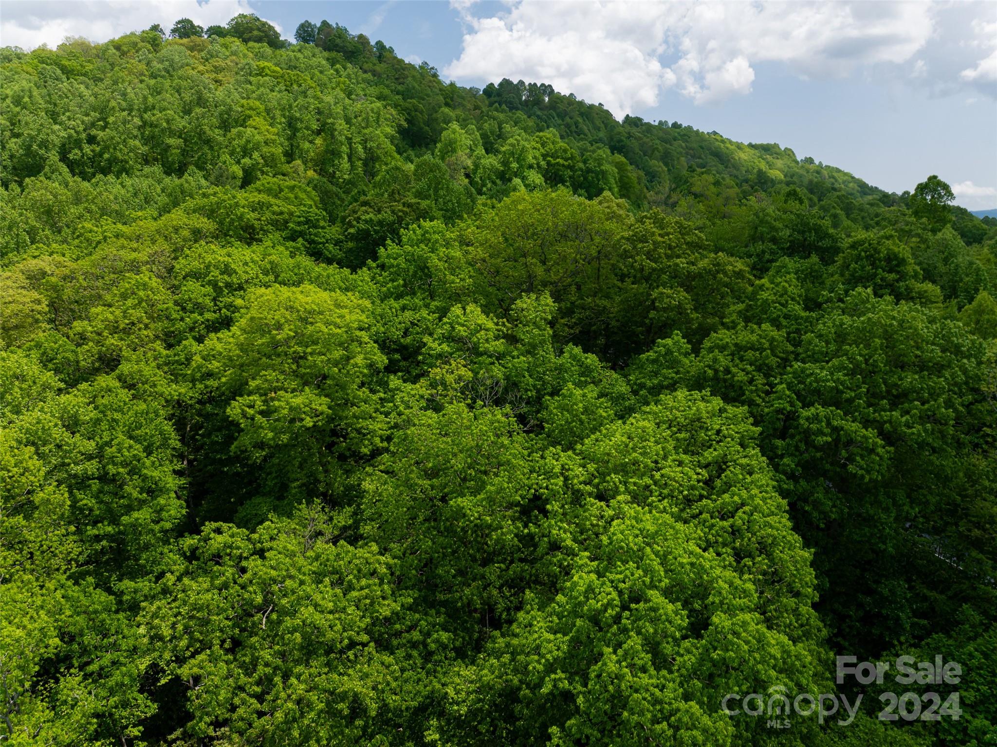185 Crossvine Trail Hendersonville NC 28739