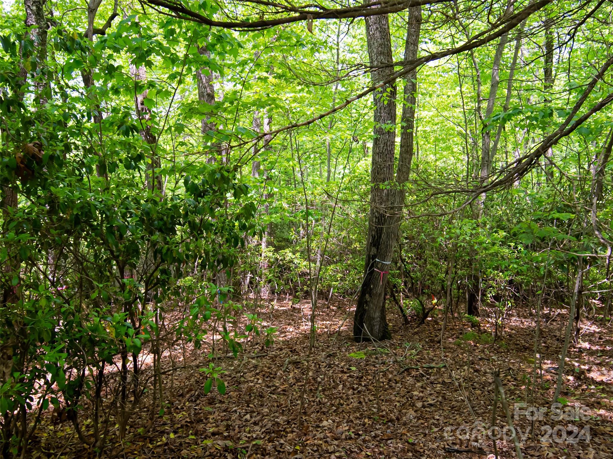 185 Crossvine Trail Hendersonville NC 28739