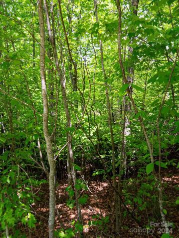 185 Crossvine Trail Hendersonville NC 28739