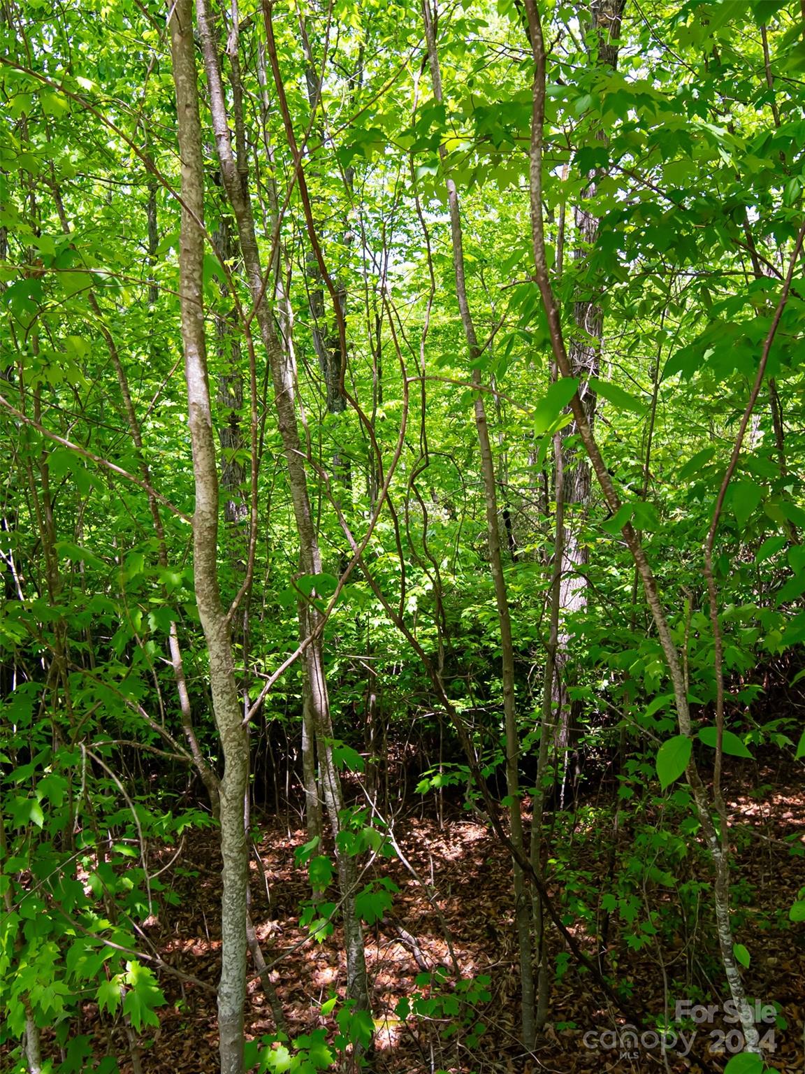 185 Crossvine Trail Hendersonville NC 28739