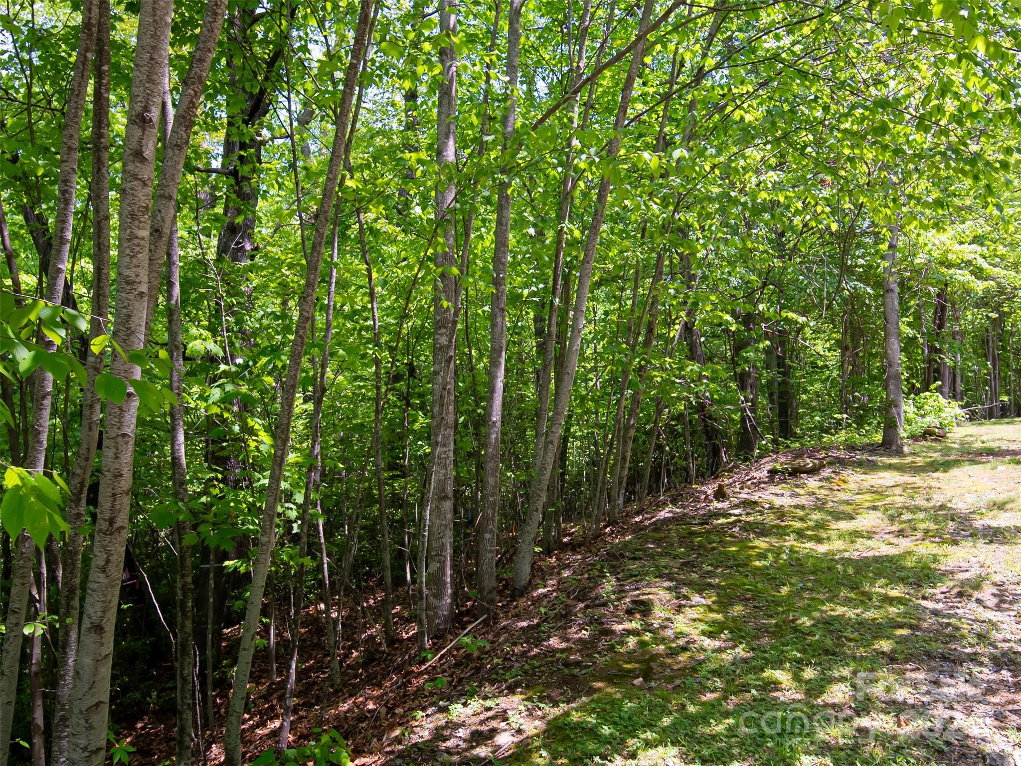 185 Crossvine Trail Hendersonville NC 28739