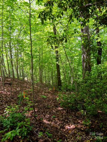 185 Crossvine Trail Hendersonville NC 28739