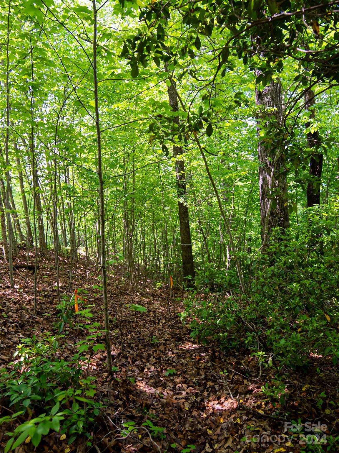 185 Crossvine Trail Hendersonville NC 28739