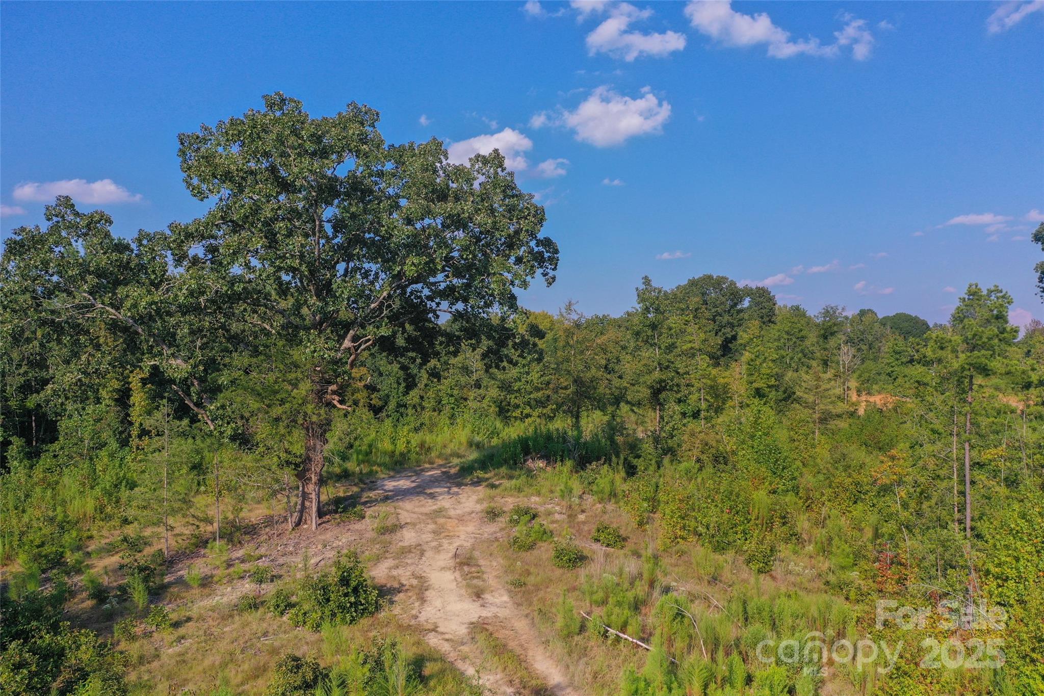 1012 S Oakshire Lane Waxhaw NC 28173