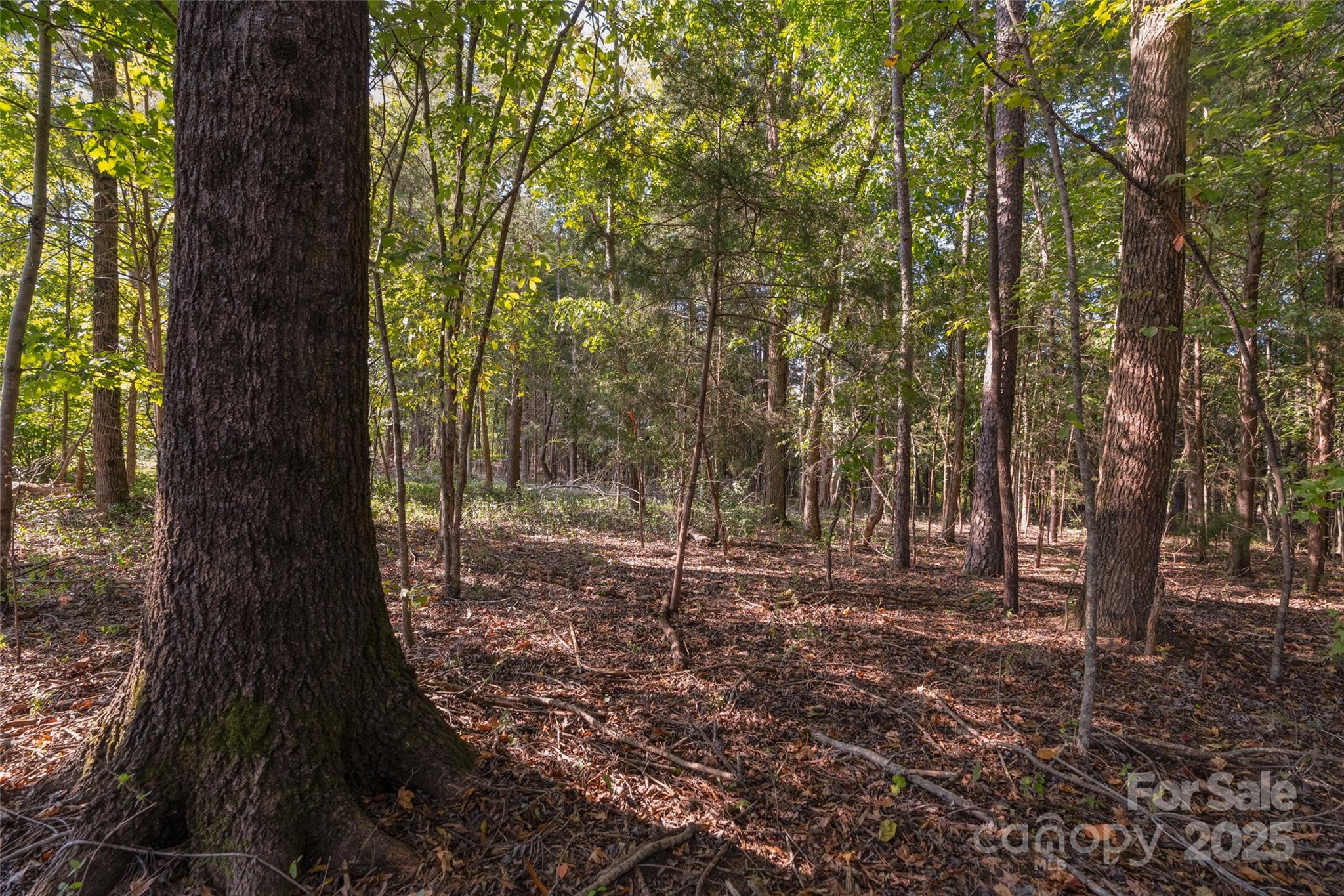 1012 S Oakshire Lane Waxhaw NC 28173