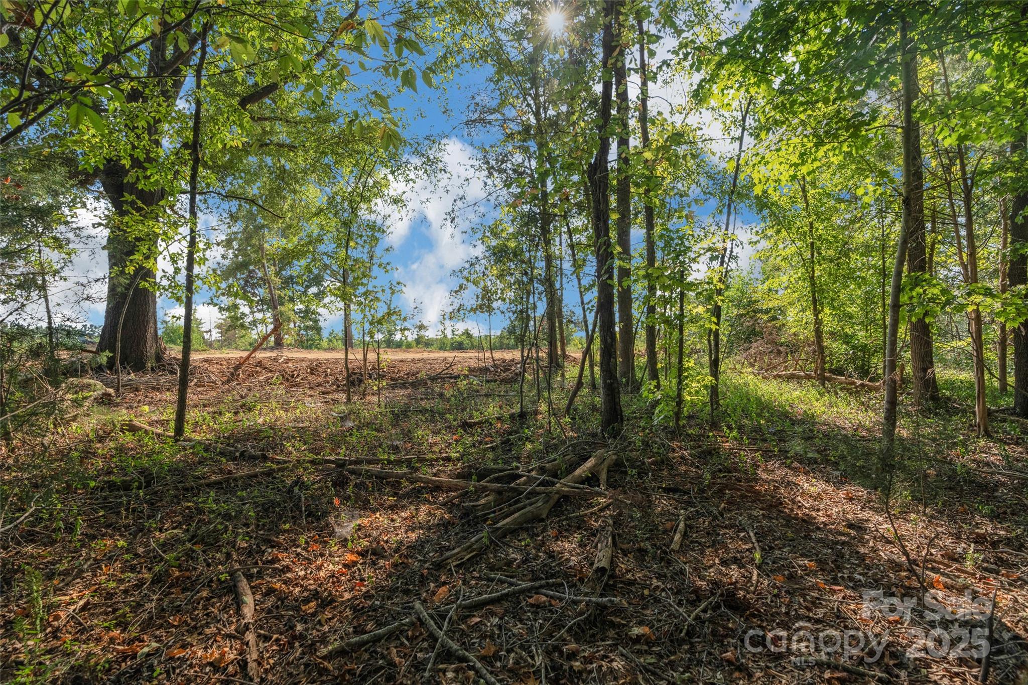 1012 S Oakshire Lane Waxhaw NC 28173