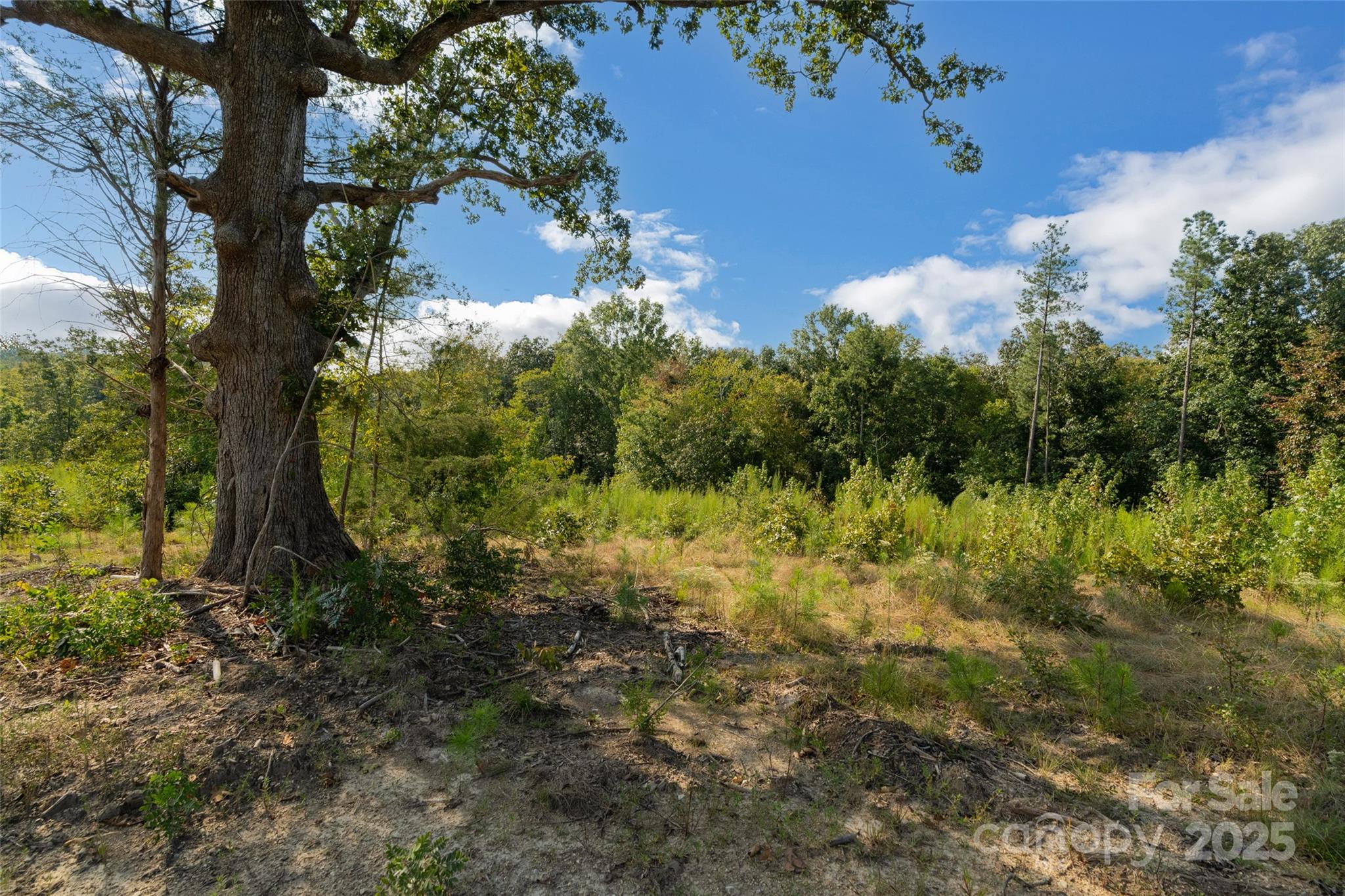1012 S Oakshire Lane Waxhaw NC 28173