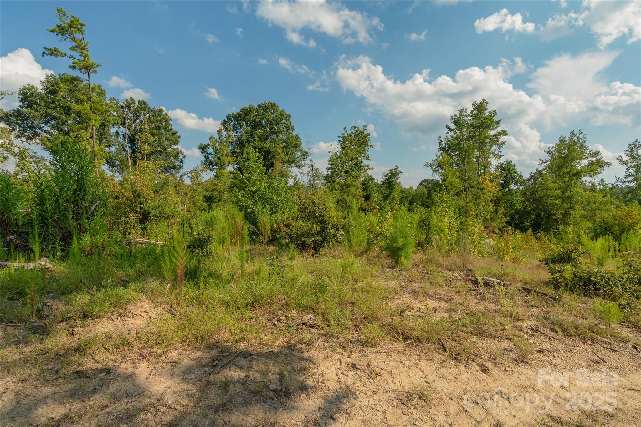 1012 S Oakshire Lane Waxhaw NC 28173