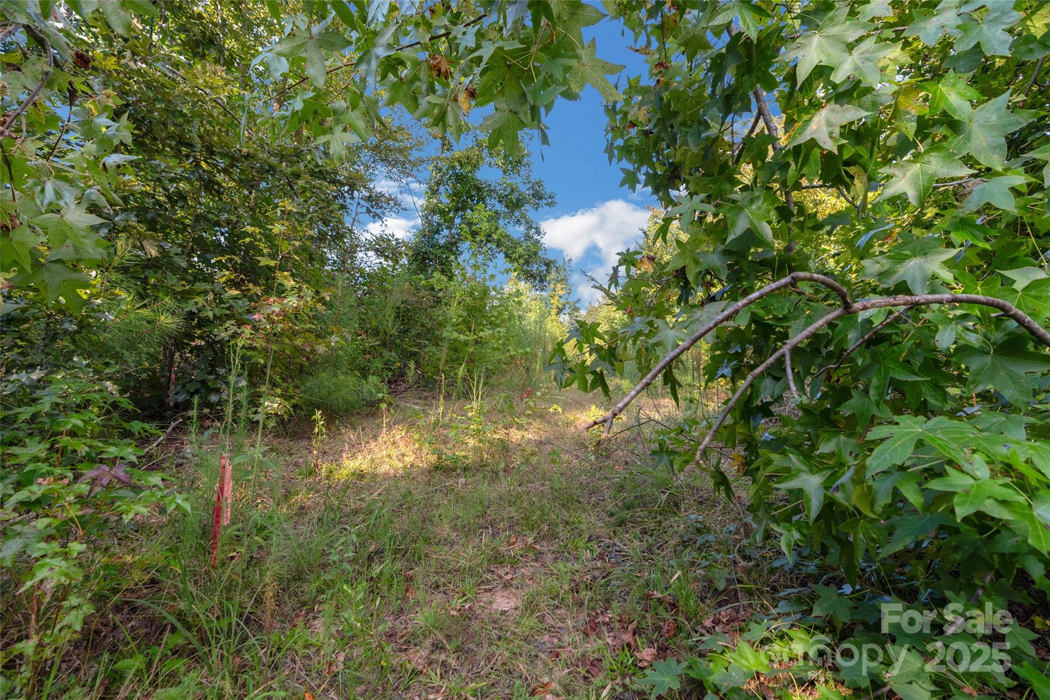 1012 S Oakshire Lane Waxhaw NC 28173