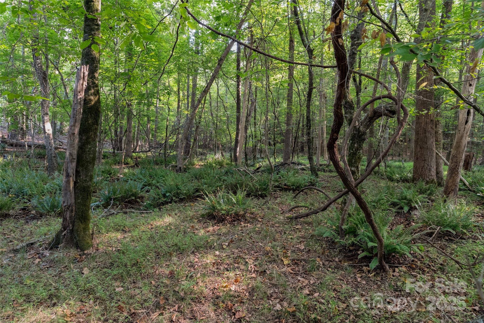 1012 S Oakshire Lane Waxhaw NC 28173