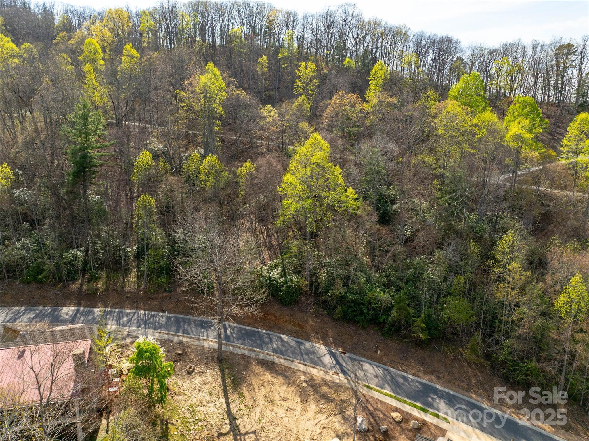 63 Old Lafayette Lane Black Mountain NC 28711