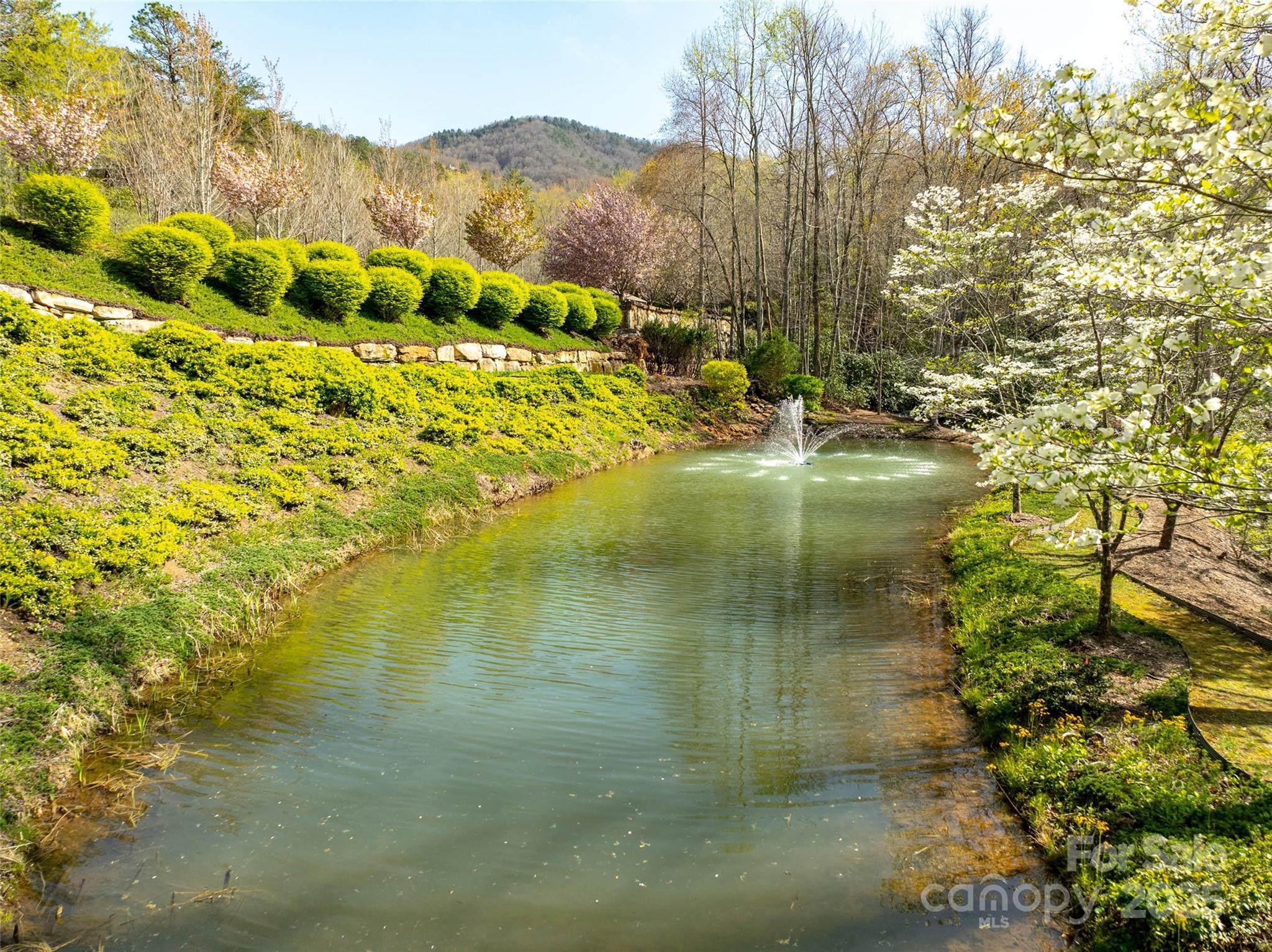63 Old Lafayette Lane Black Mountain NC 28711
