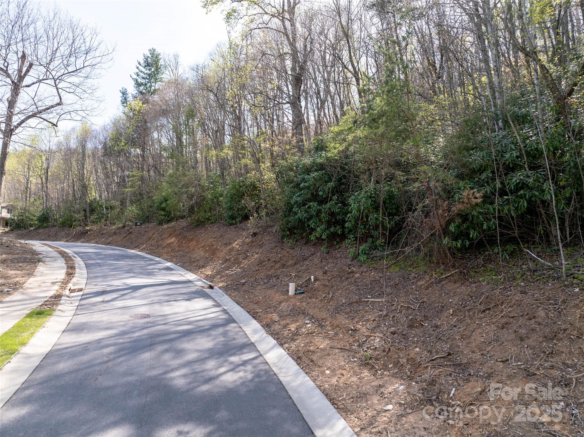 63 Old Lafayette Lane Black Mountain NC 28711
