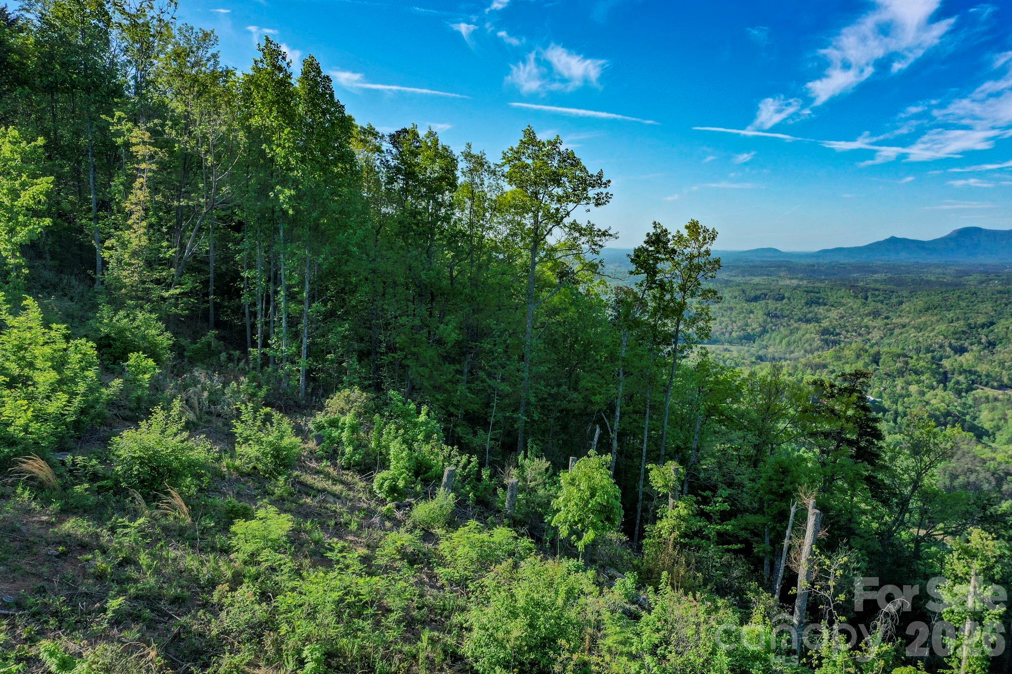000 Golden Ridge Drive Lake Lure NC 28746