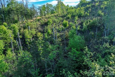 000 Golden Ridge Drive Lake Lure NC 28746