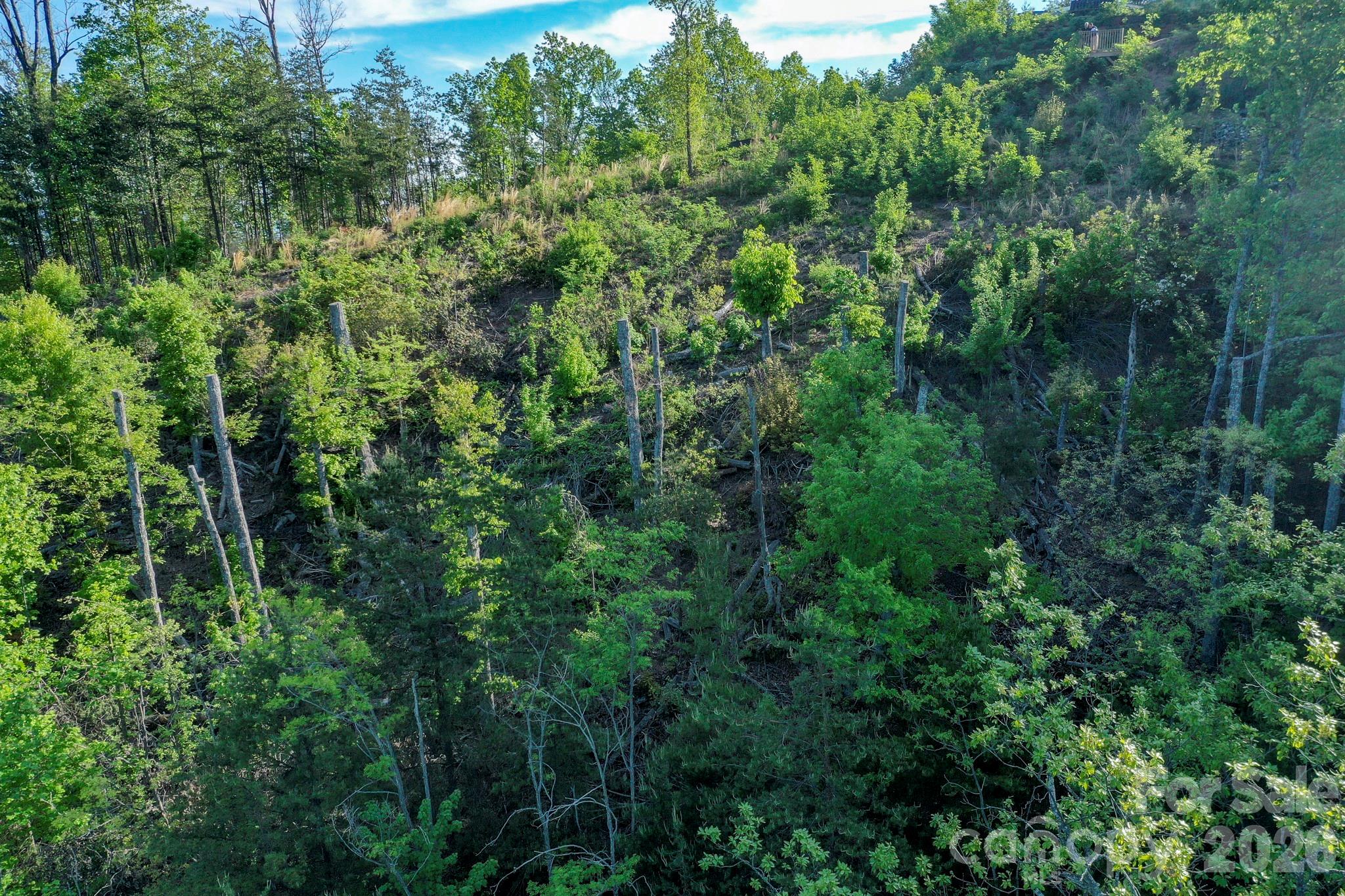 000 Golden Ridge Drive Lake Lure NC 28746