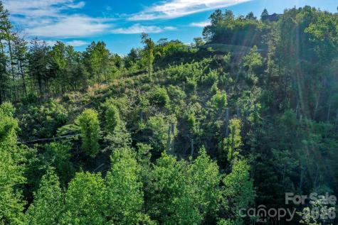 000 Golden Ridge Drive Lake Lure NC 28746