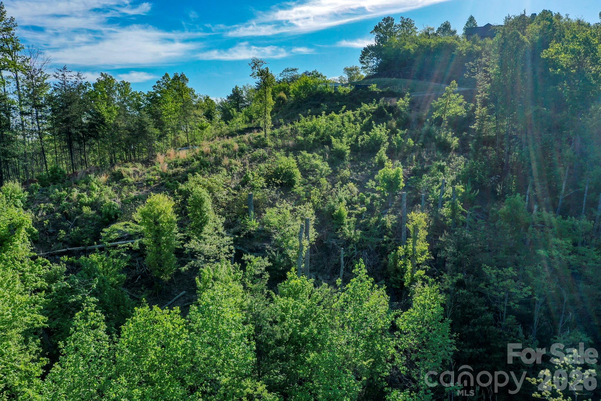 000 Golden Ridge Drive Lake Lure NC 28746