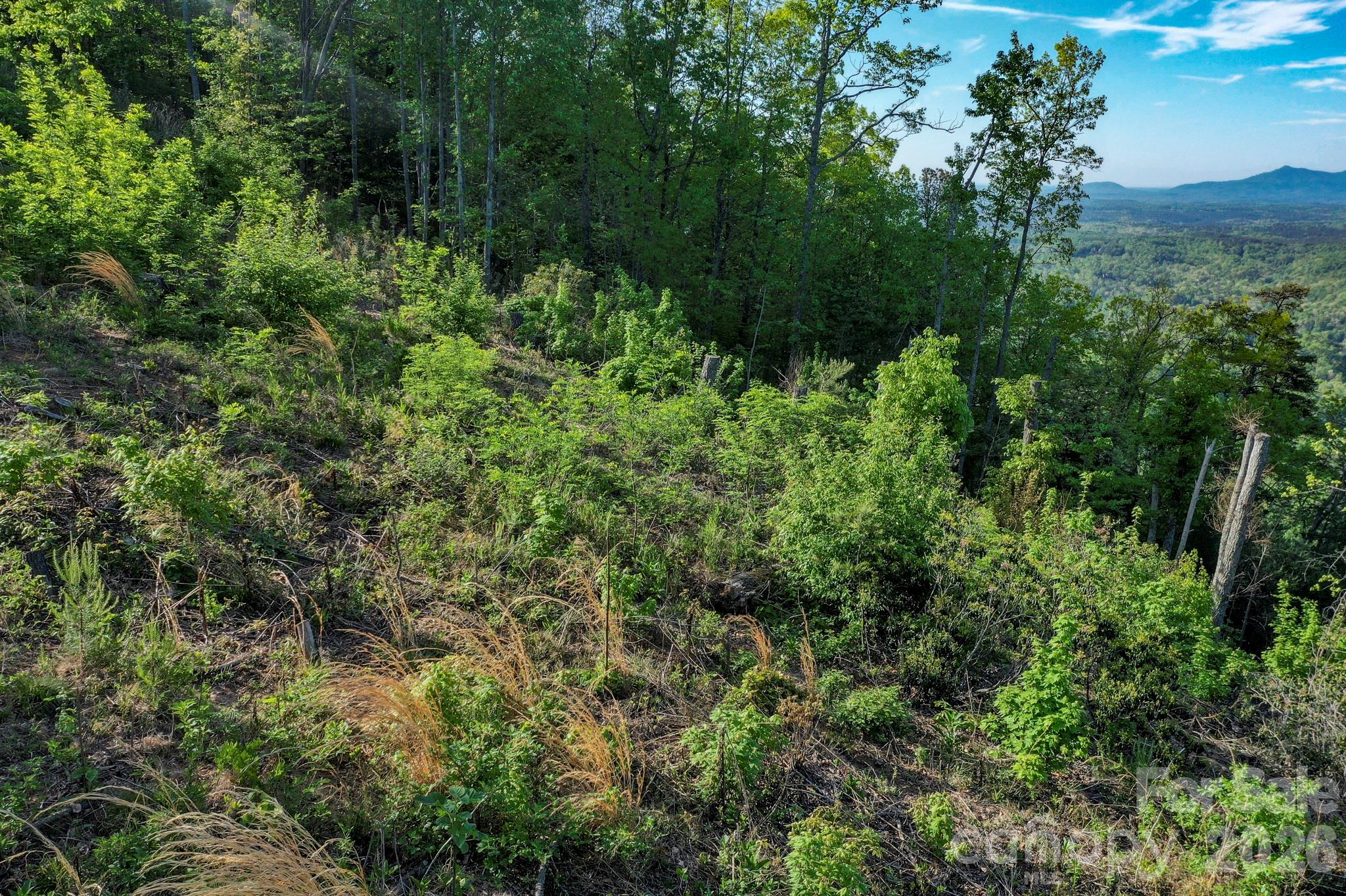 000 Golden Ridge Drive Lake Lure NC 28746