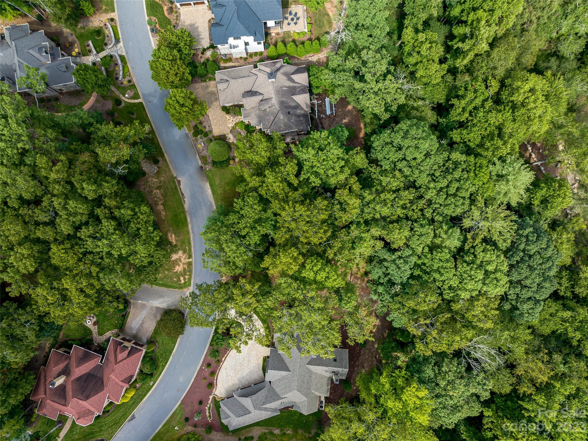 7 Mountain Orchid Way Arden NC 28704