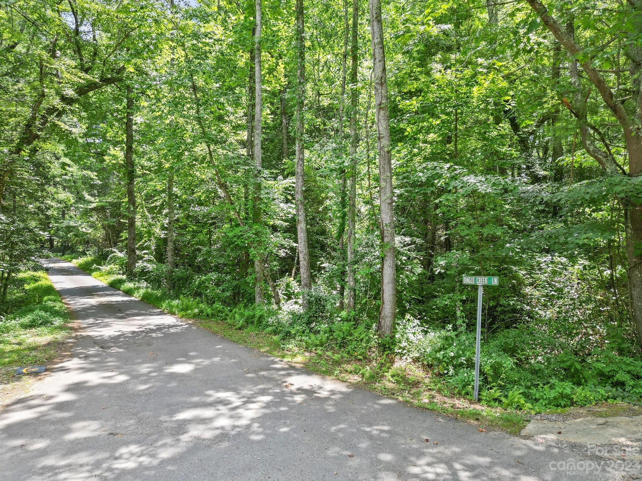 99999 Dingle Creek Lane Asheville NC 28803