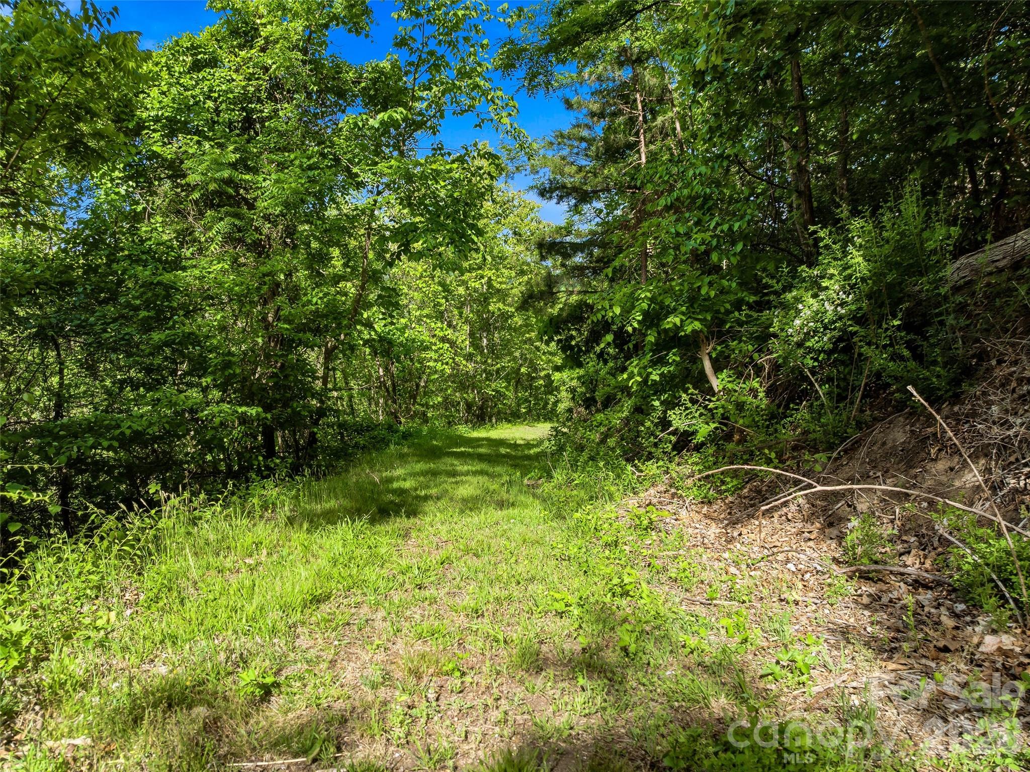 948 Cove Creek Lane Mars Hill NC 28754