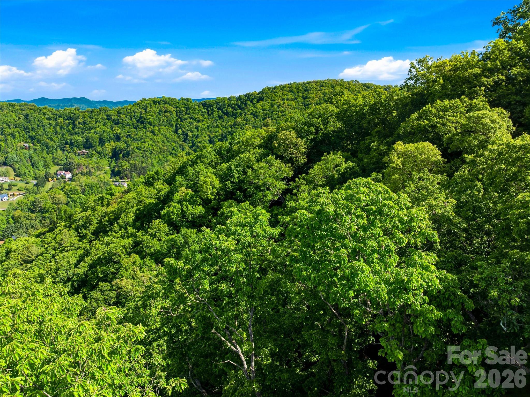 948 Cove Creek Lane Mars Hill NC 28754