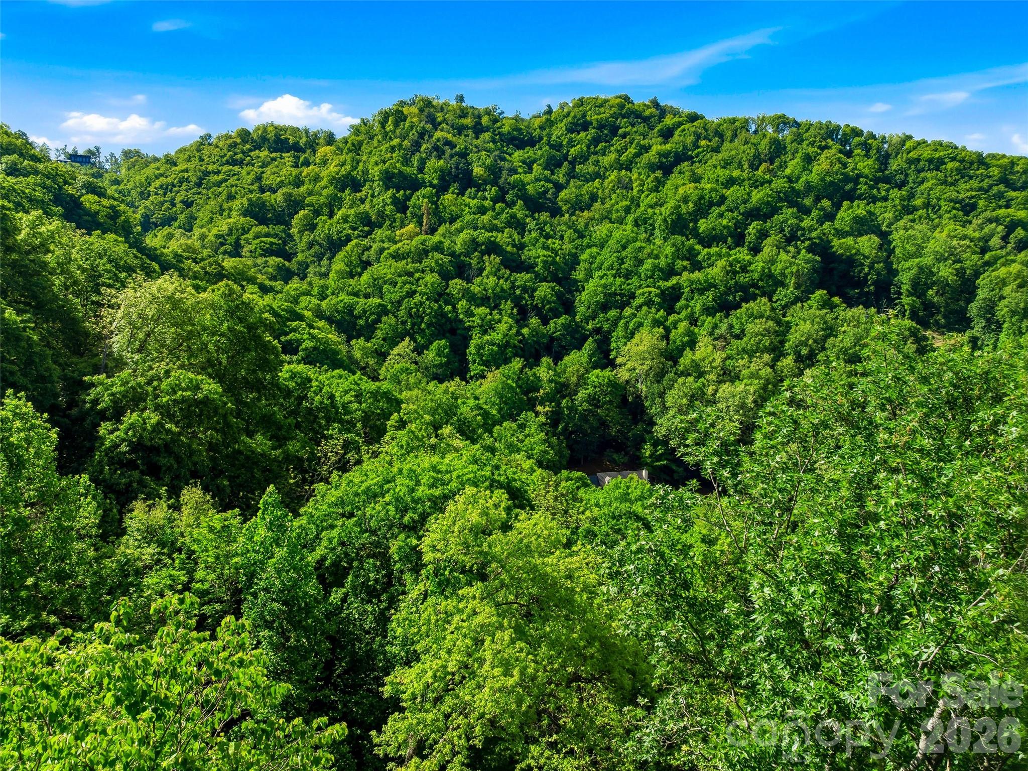 948 Cove Creek Lane Mars Hill NC 28754