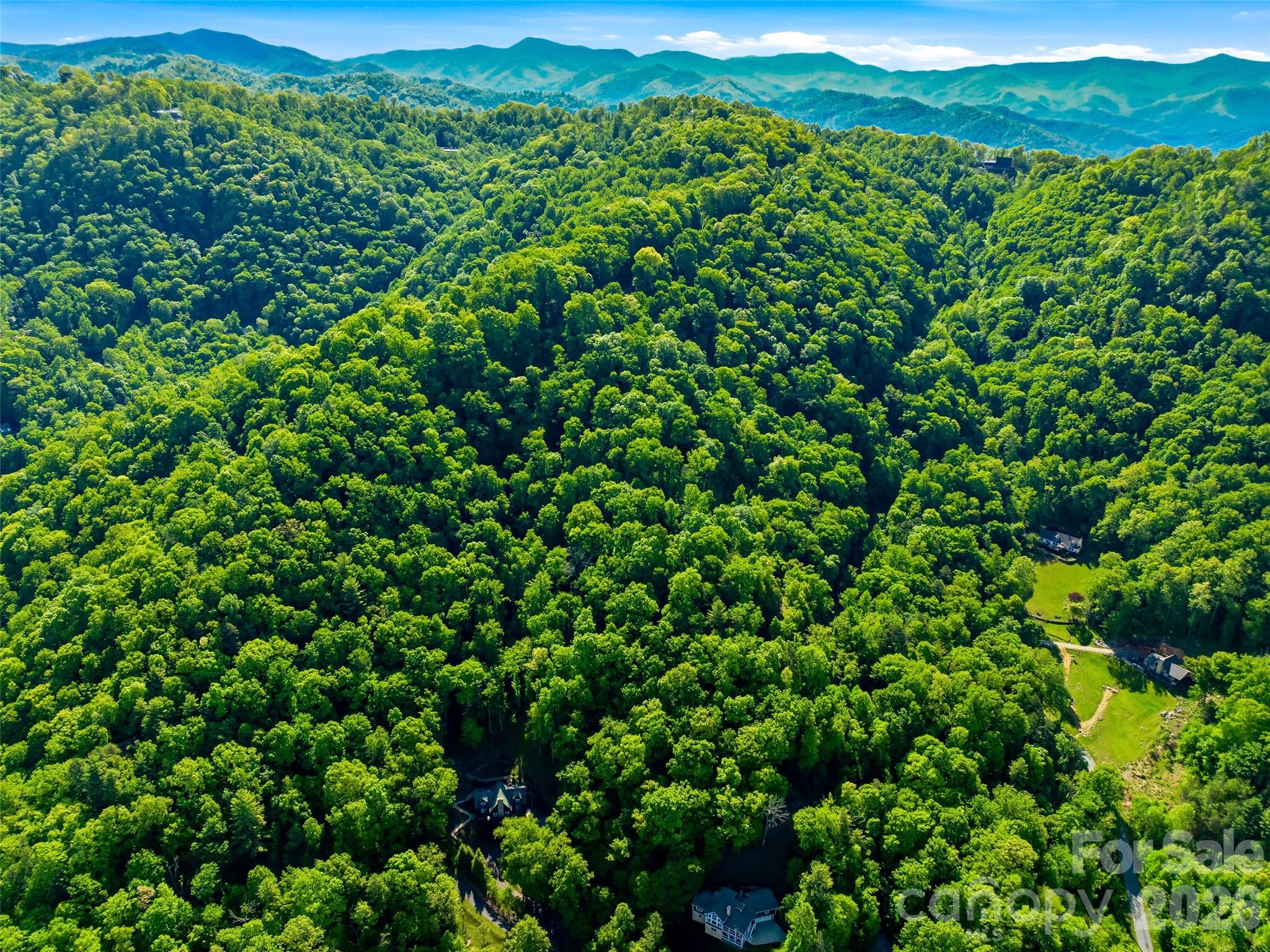 948 Cove Creek Lane Mars Hill NC 28754