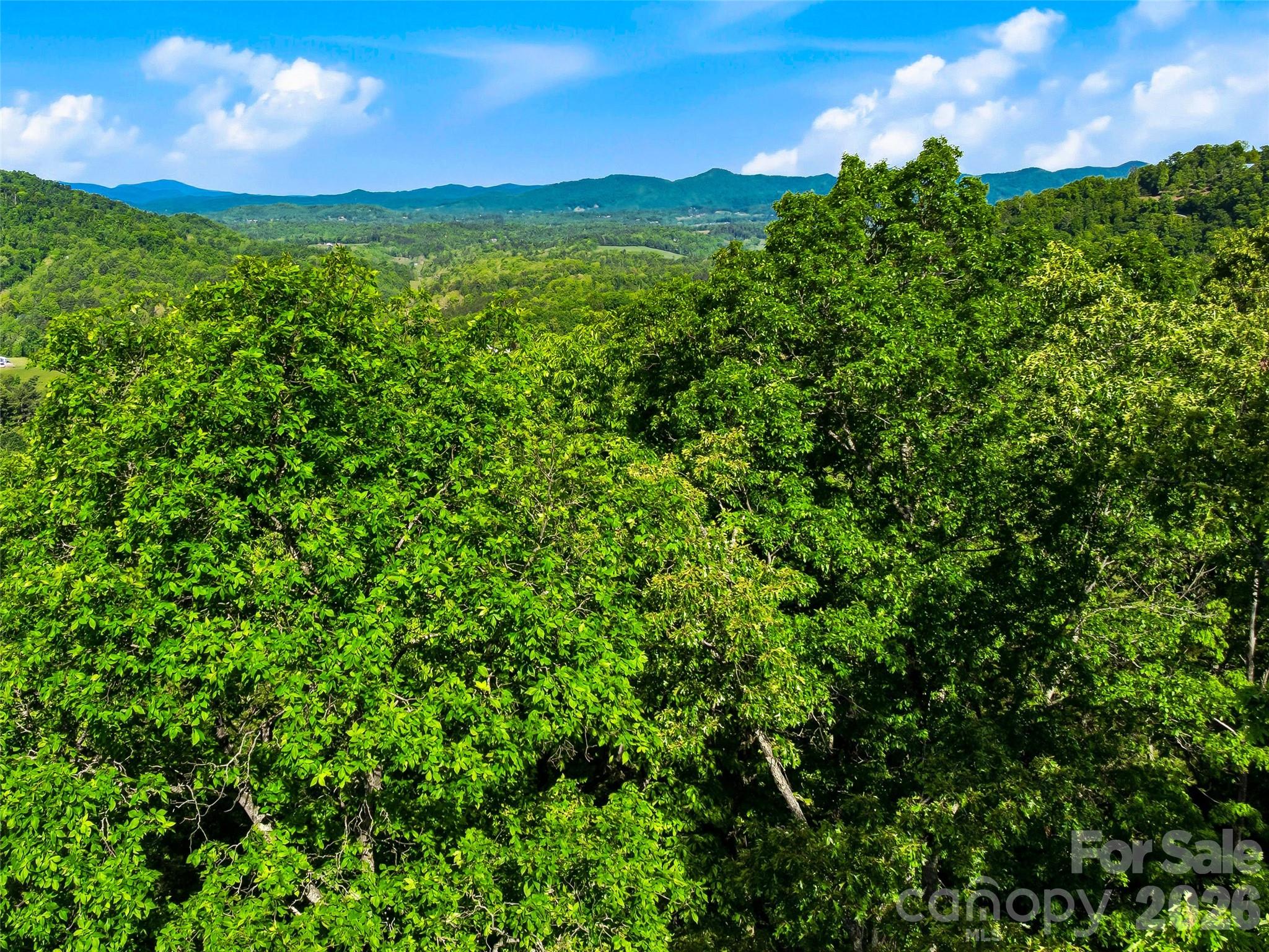 948 Cove Creek Lane Mars Hill NC 28754