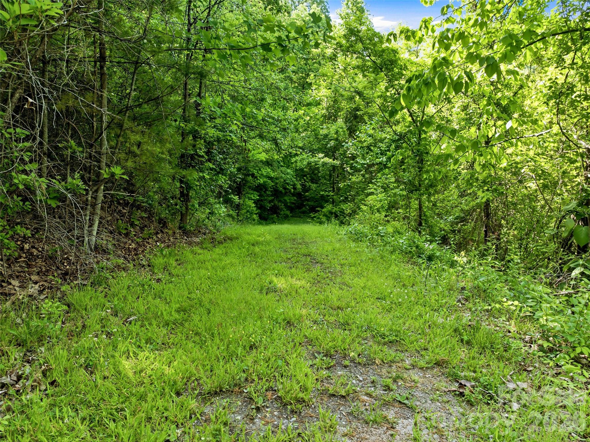948 Cove Creek Lane Mars Hill NC 28754