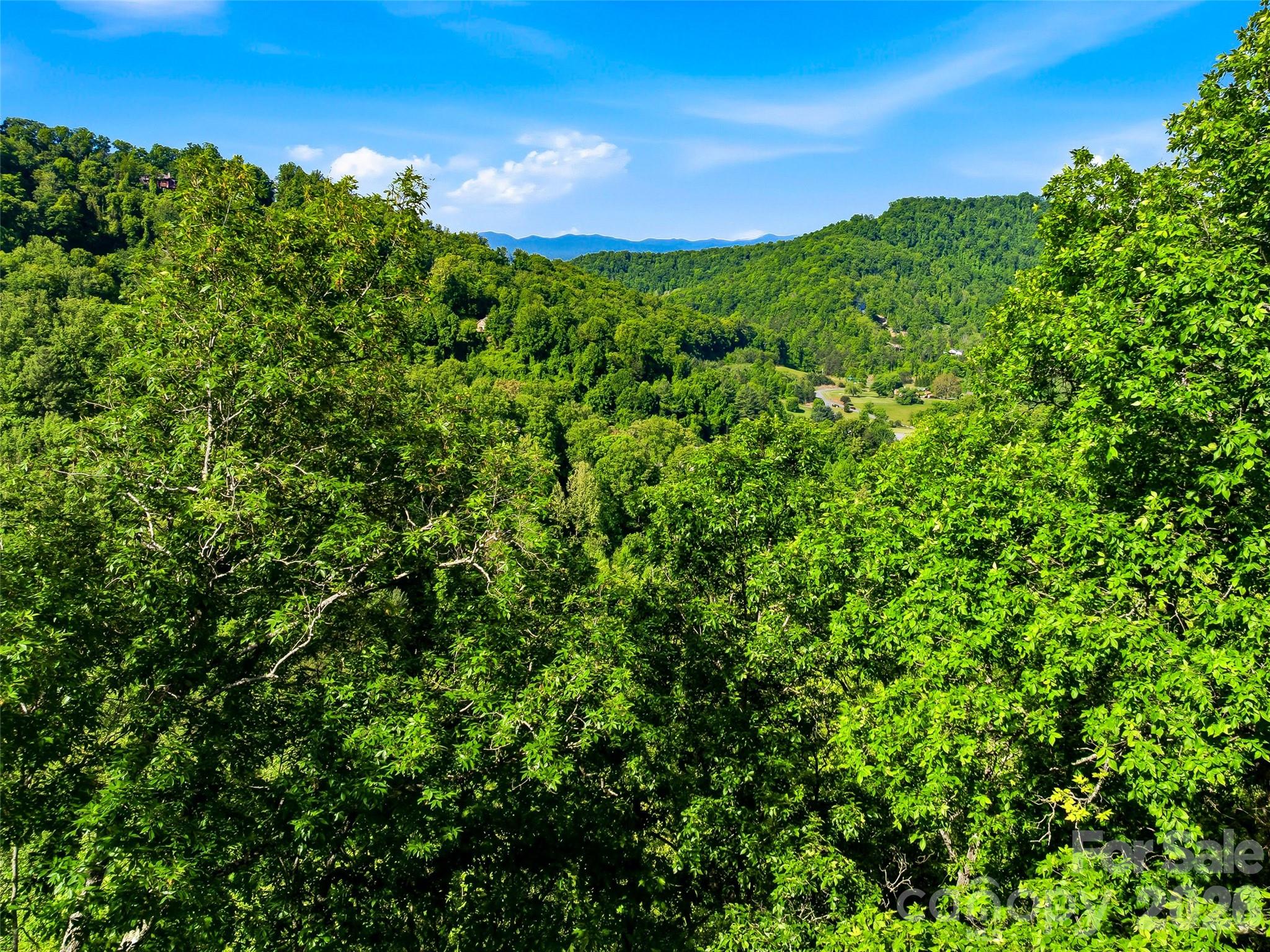 948 Cove Creek Lane Mars Hill NC 28754