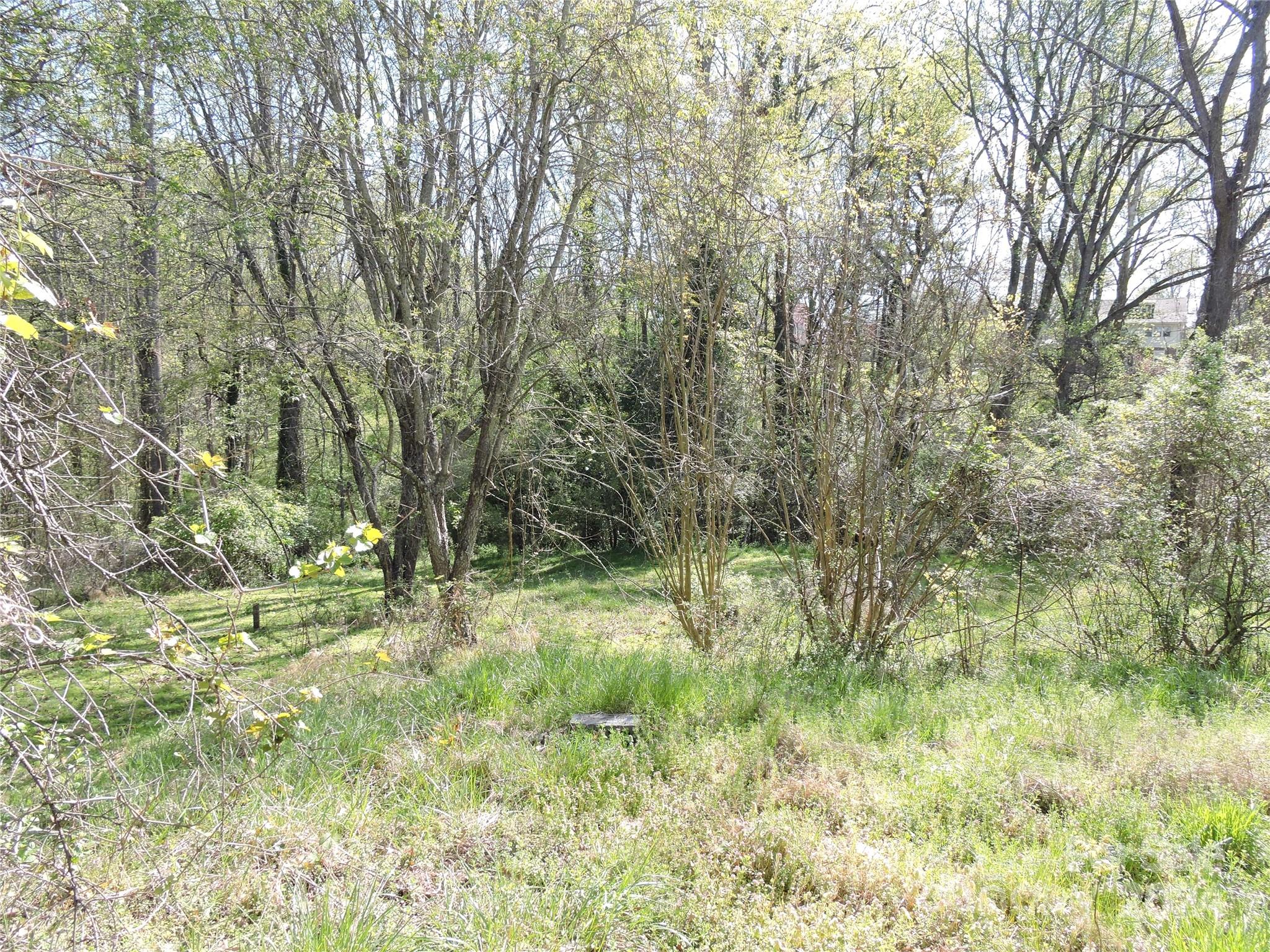41 Argyle Lane Asheville NC 28806
