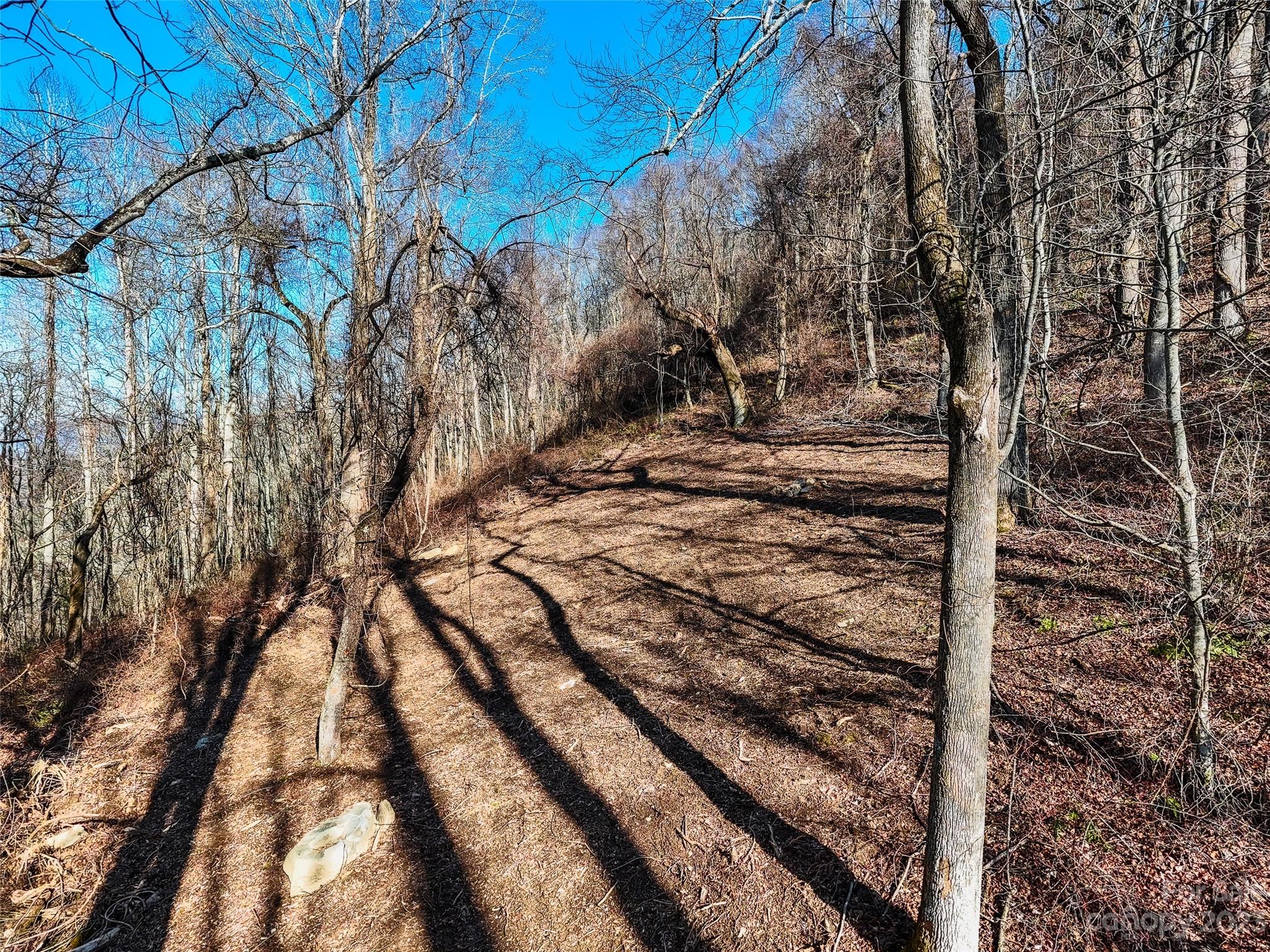 64 Flora Rose Trail Asheville NC 28803
