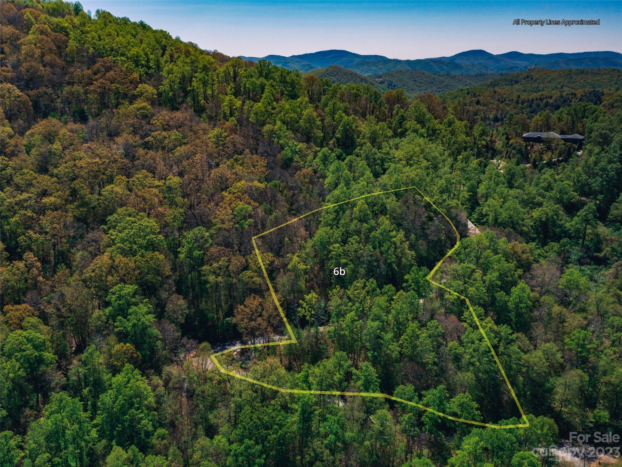 64 Flora Rose Trail Asheville NC 28803