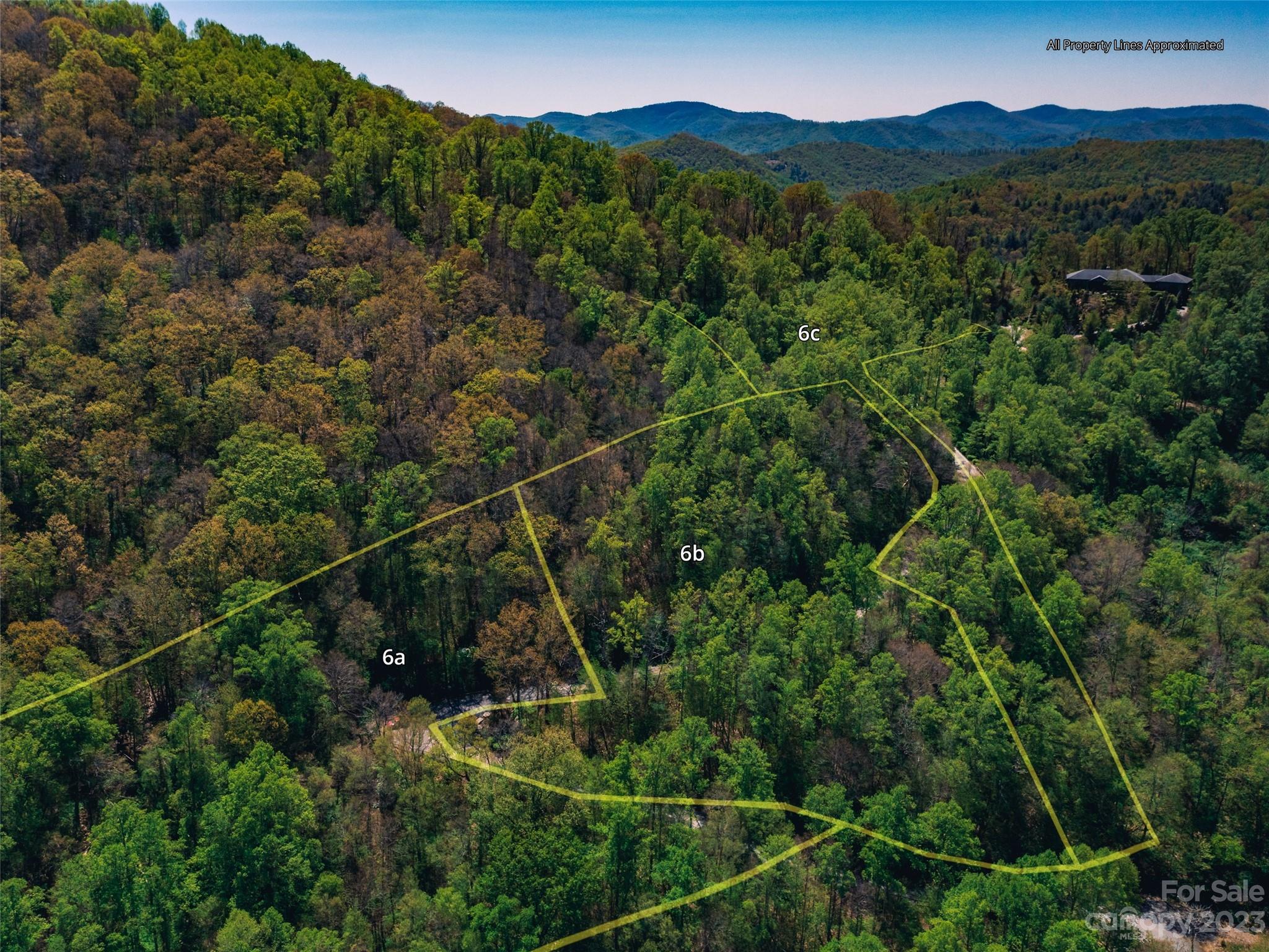 64 Flora Rose Trail Asheville NC 28803