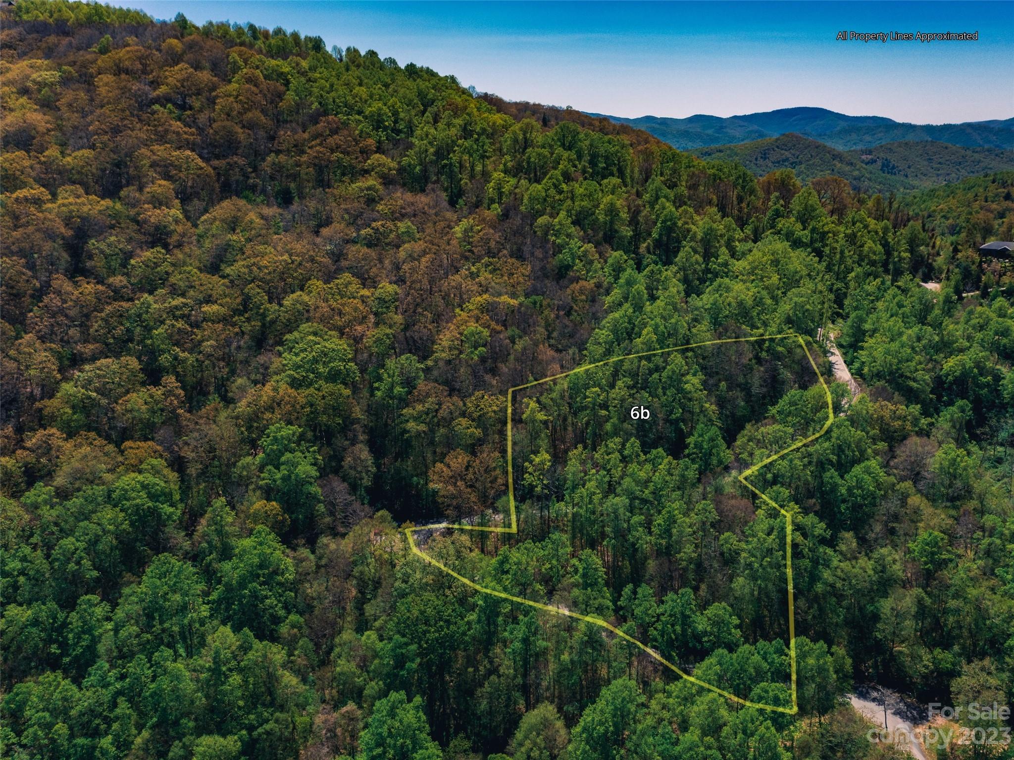 64 Flora Rose Trail Asheville NC 28803